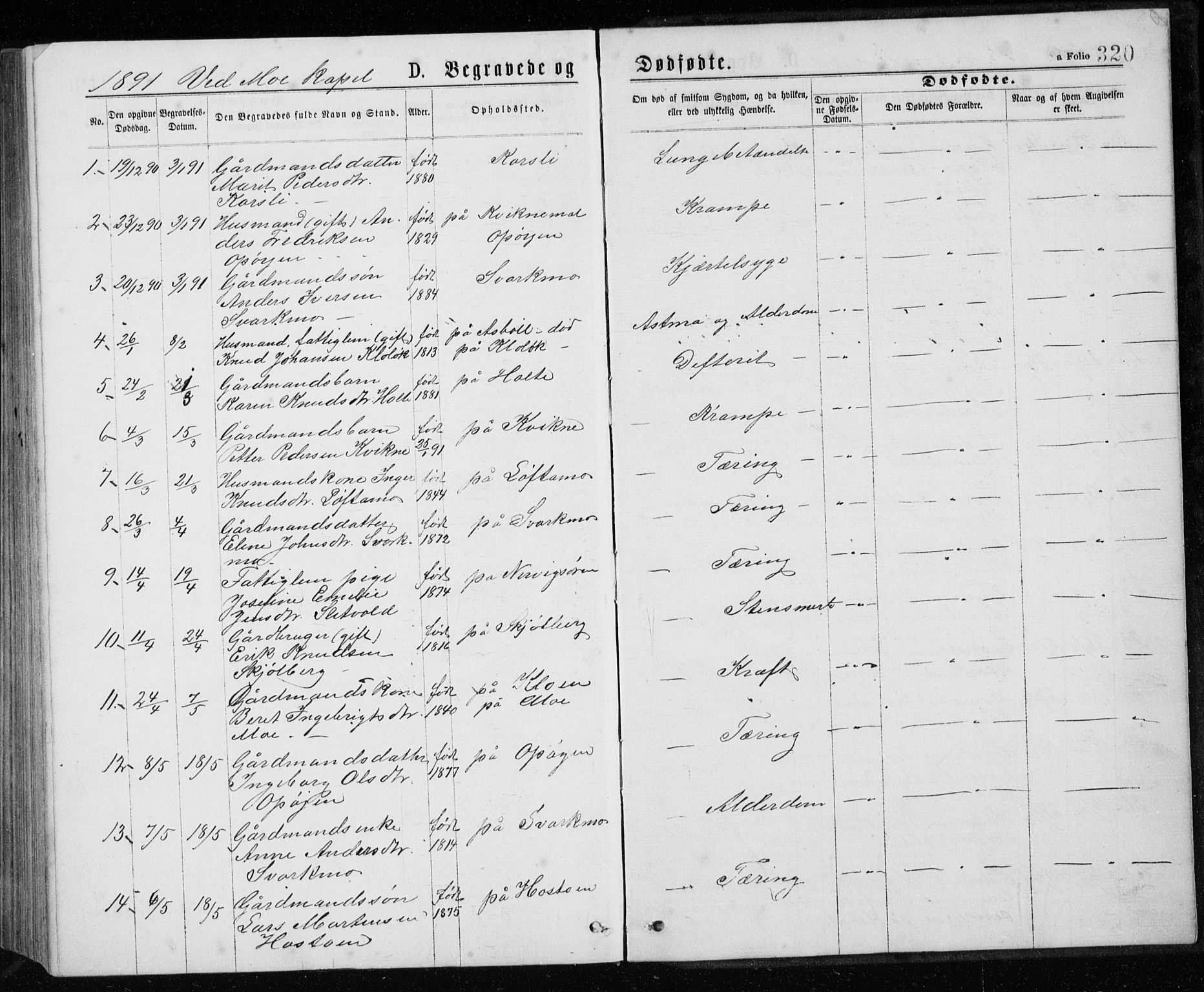 Ministerialprotokoller, klokkerbøker og fødselsregistre - Sør-Trøndelag, AV/SAT-A-1456/671/L0843: Parish register (copy) no. 671C02, 1873-1892, p. 320