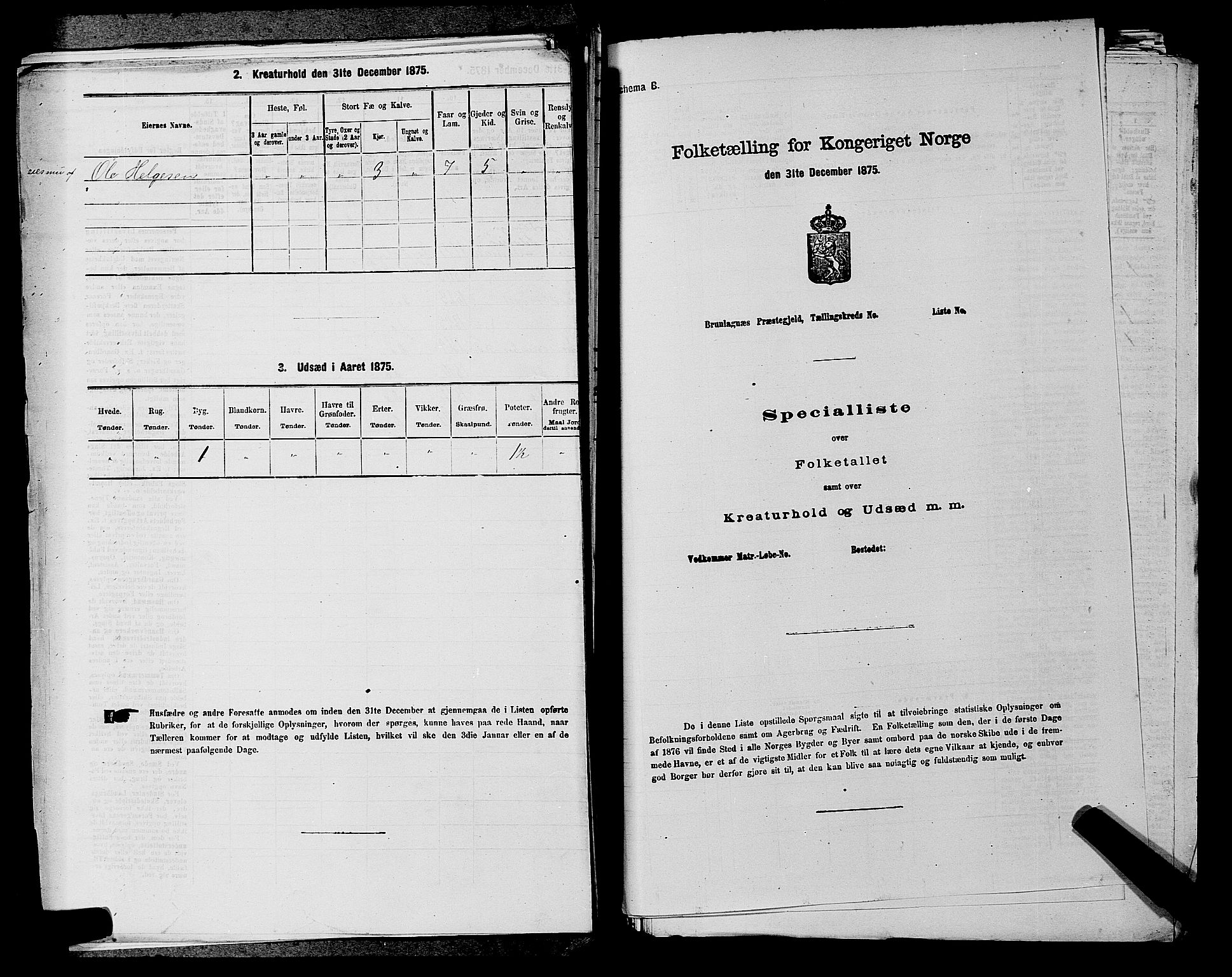 SAKO, 1875 census for 0827P Hjartdal, 1875, p. 950