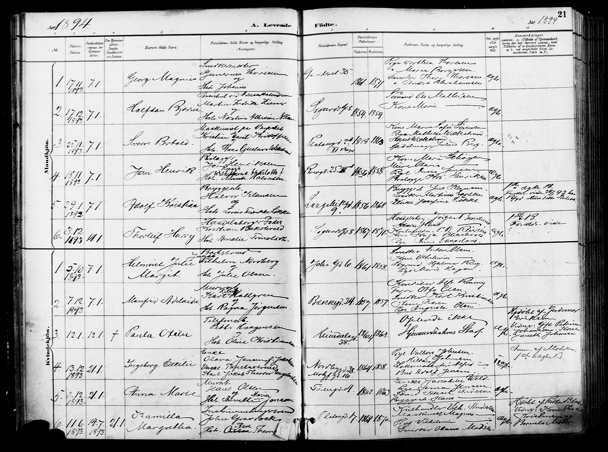 Grønland prestekontor Kirkebøker, AV/SAO-A-10848/F/Fa/L0012: Parish register (official) no. 12, 1893-1900, p. 21