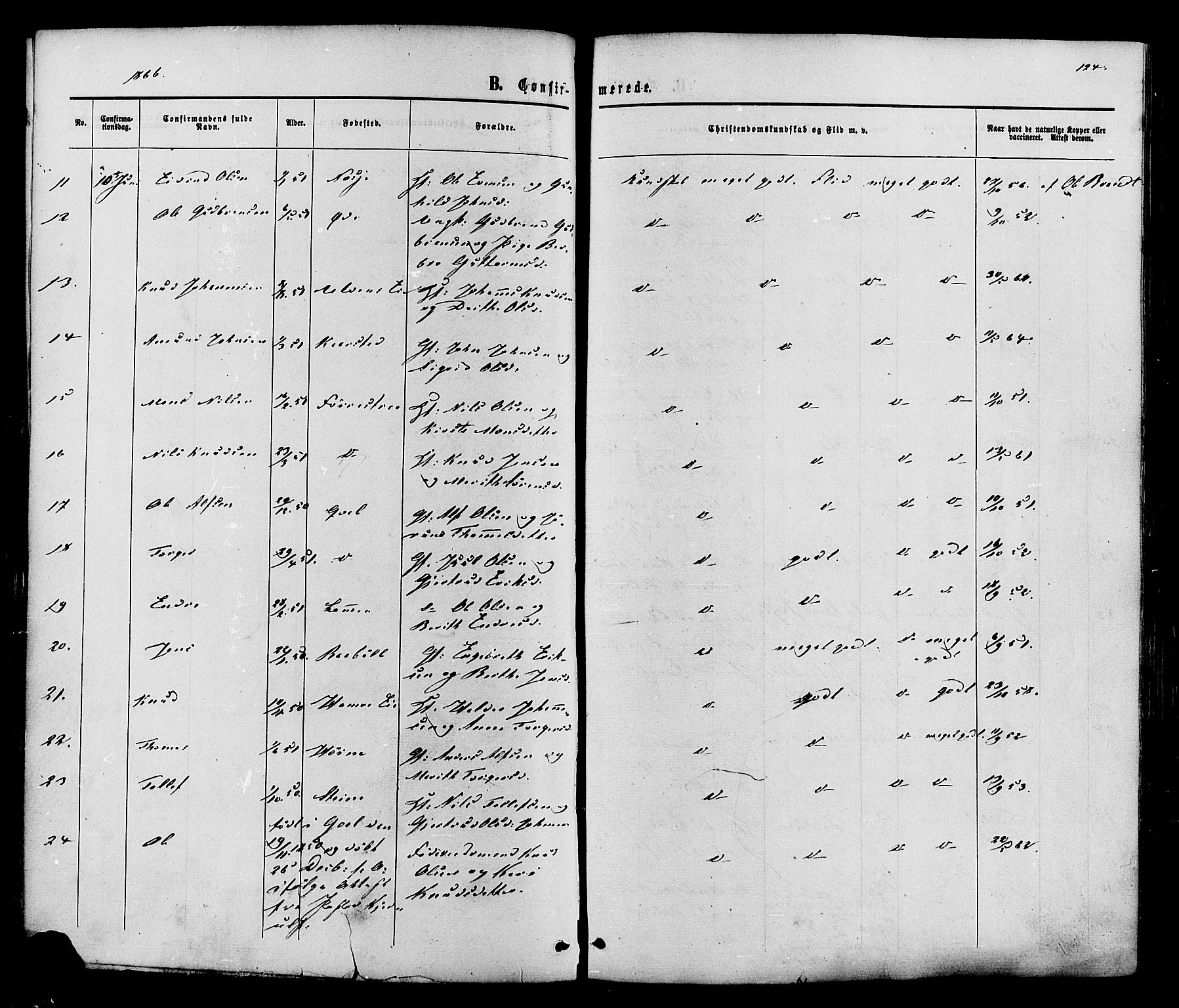Vestre Slidre prestekontor, SAH/PREST-136/H/Ha/Haa/L0003: Parish register (official) no. 3, 1865-1880, p. 124