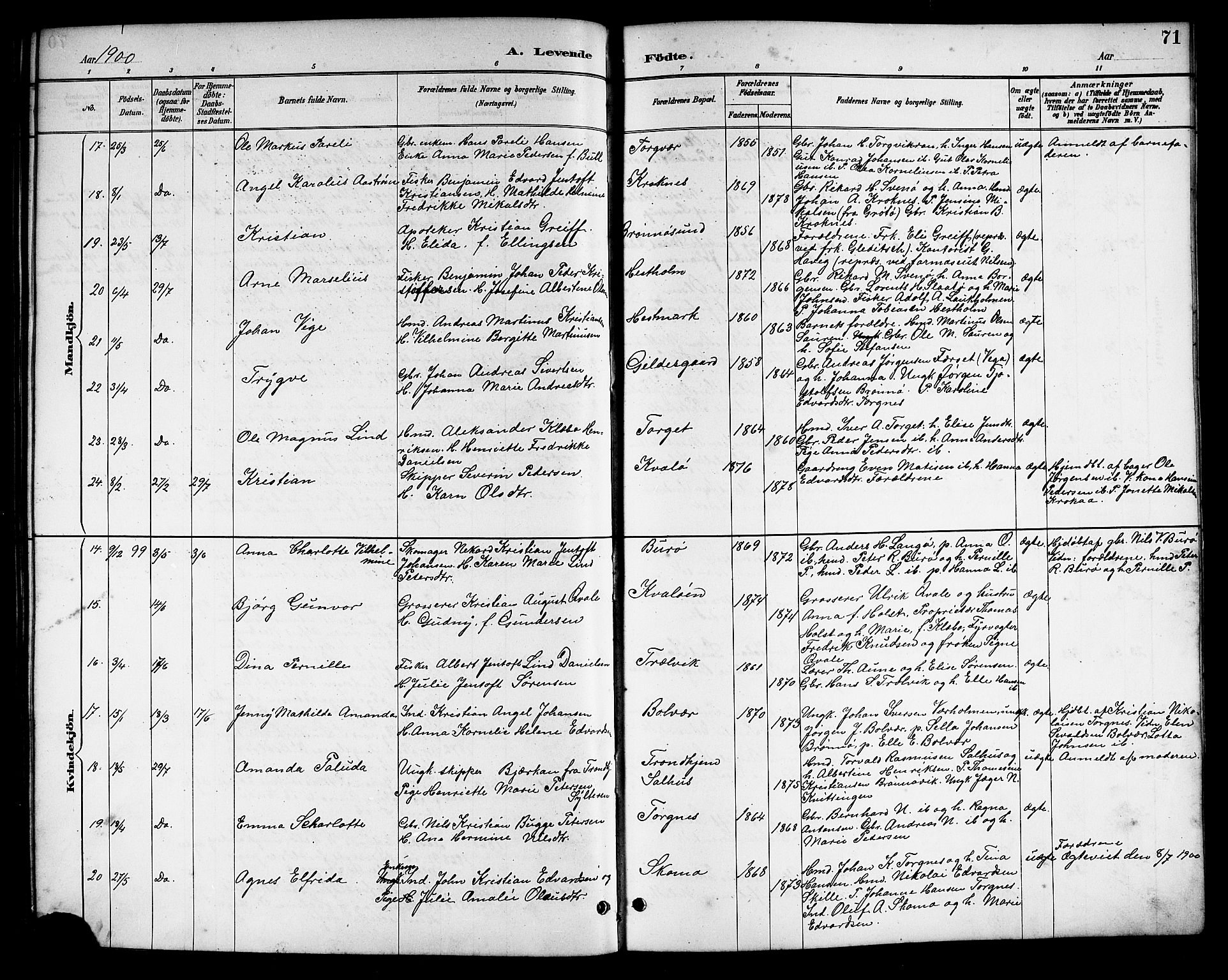 Ministerialprotokoller, klokkerbøker og fødselsregistre - Nordland, AV/SAT-A-1459/813/L0213: Parish register (copy) no. 813C05, 1887-1903, p. 71