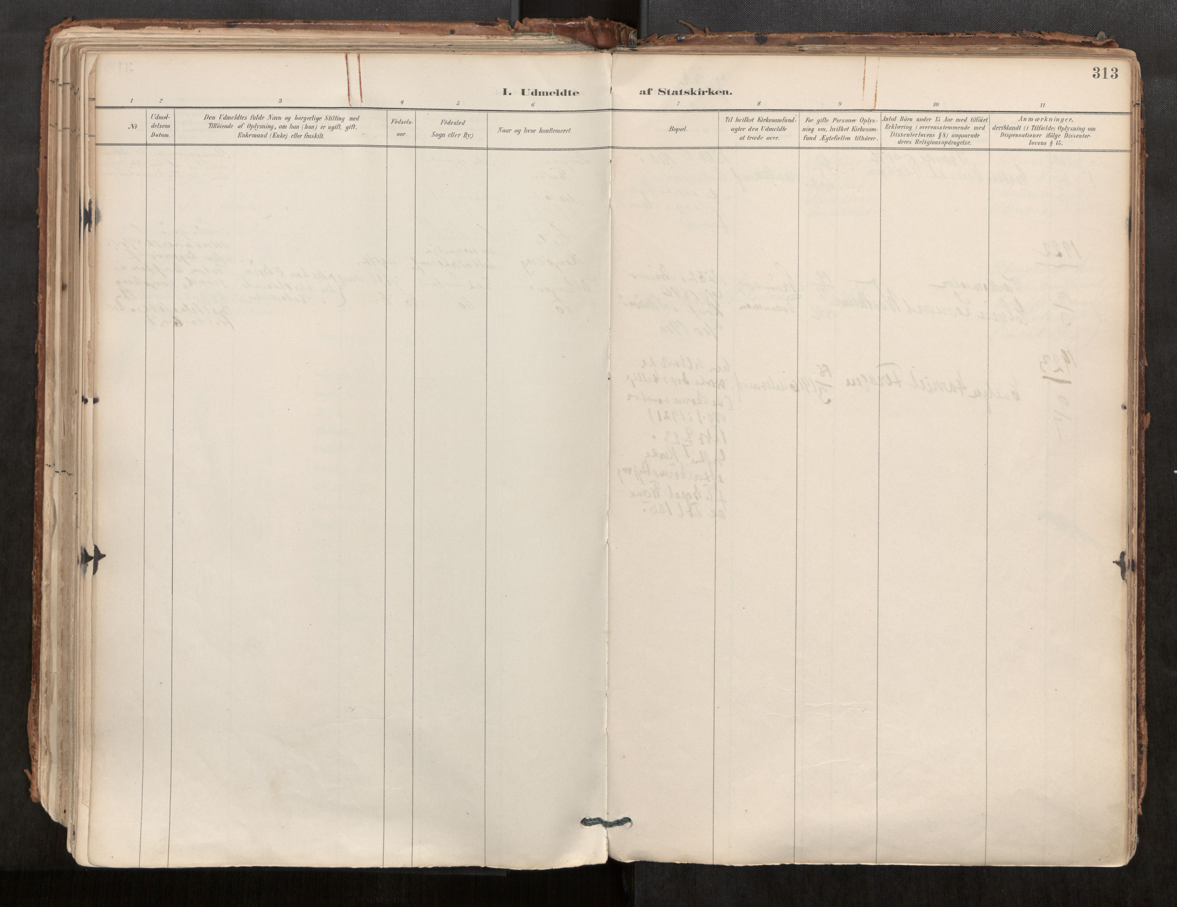 Ministerialprotokoller, klokkerbøker og fødselsregistre - Møre og Romsdal, SAT/A-1454/544/L0585: Parish register (official) no. 544A06, 1887-1924, p. 313