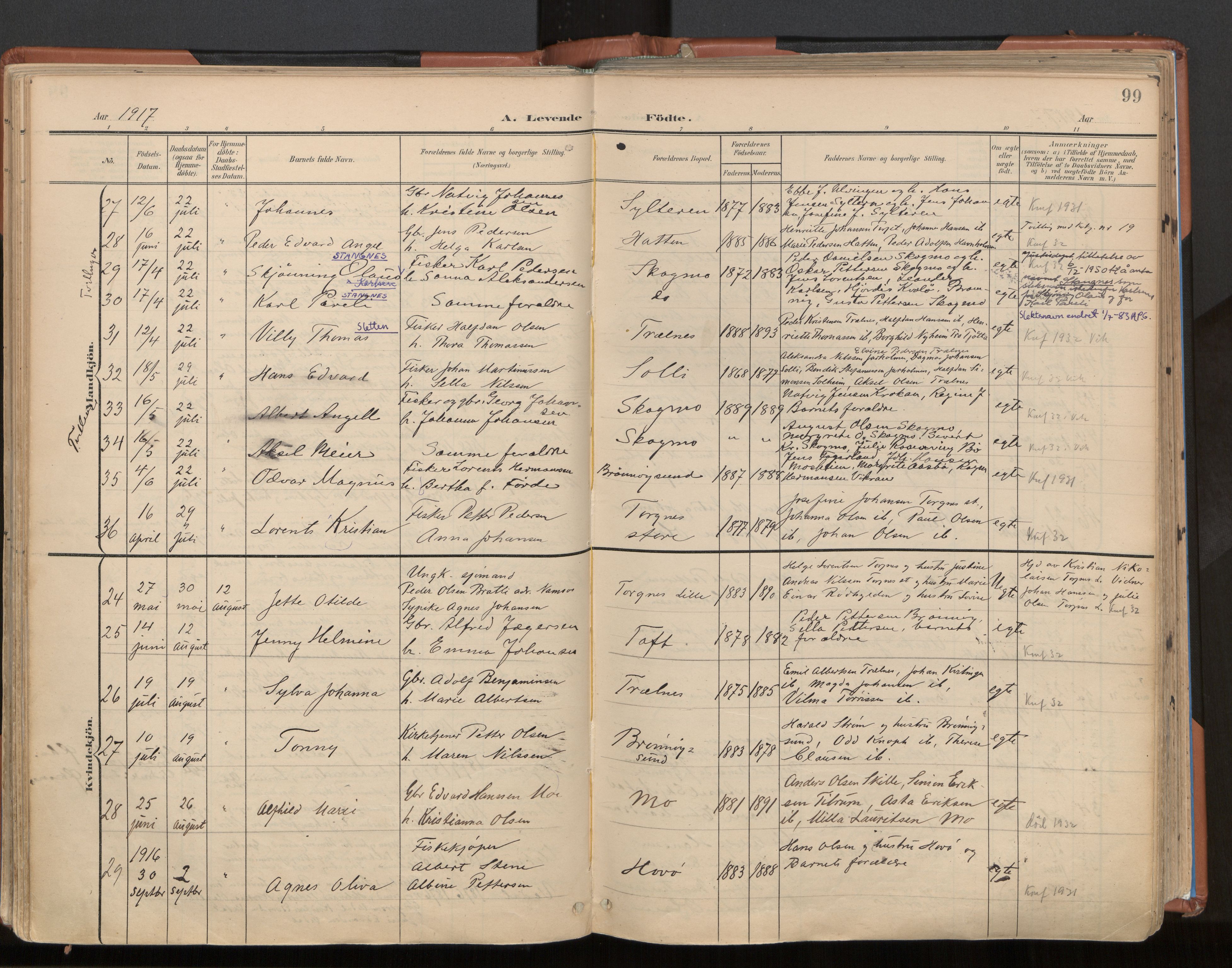 Ministerialprotokoller, klokkerbøker og fødselsregistre - Nordland, AV/SAT-A-1459/813/L0201: Parish register (official) no. 813A11, 1901-1918, p. 99