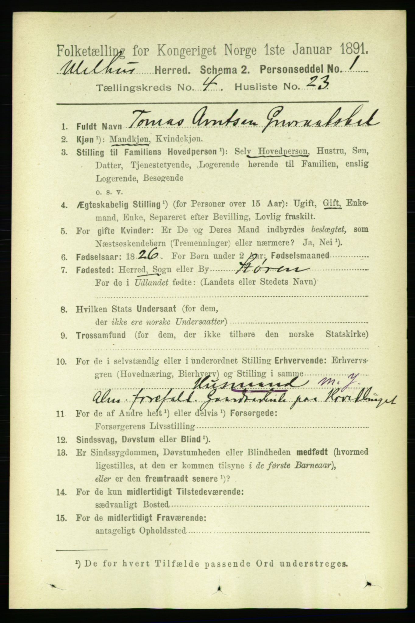 RA, 1891 census for 1653 Melhus, 1891, p. 2079