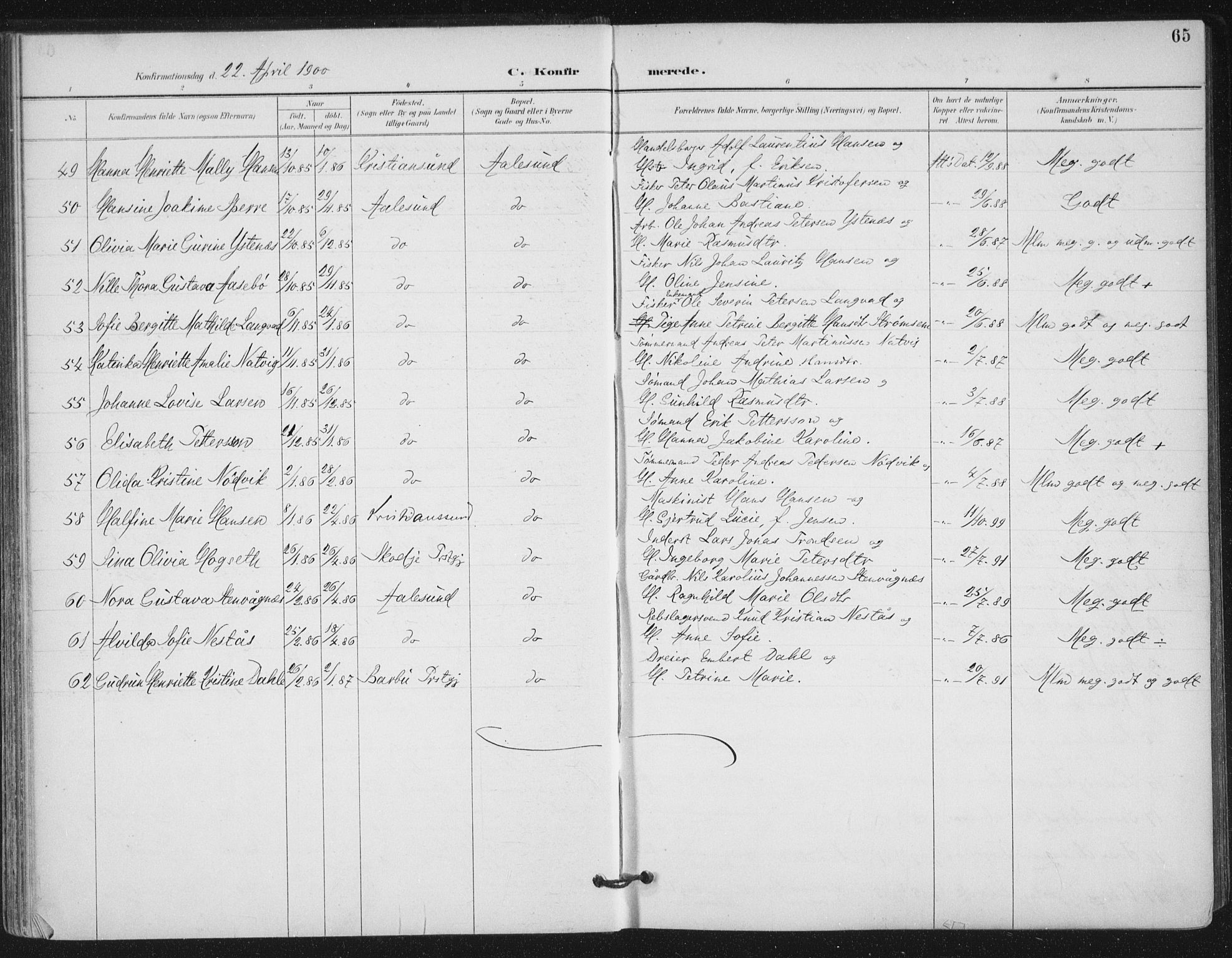 Ministerialprotokoller, klokkerbøker og fødselsregistre - Møre og Romsdal, AV/SAT-A-1454/529/L0457: Parish register (official) no. 529A07, 1894-1903, p. 65