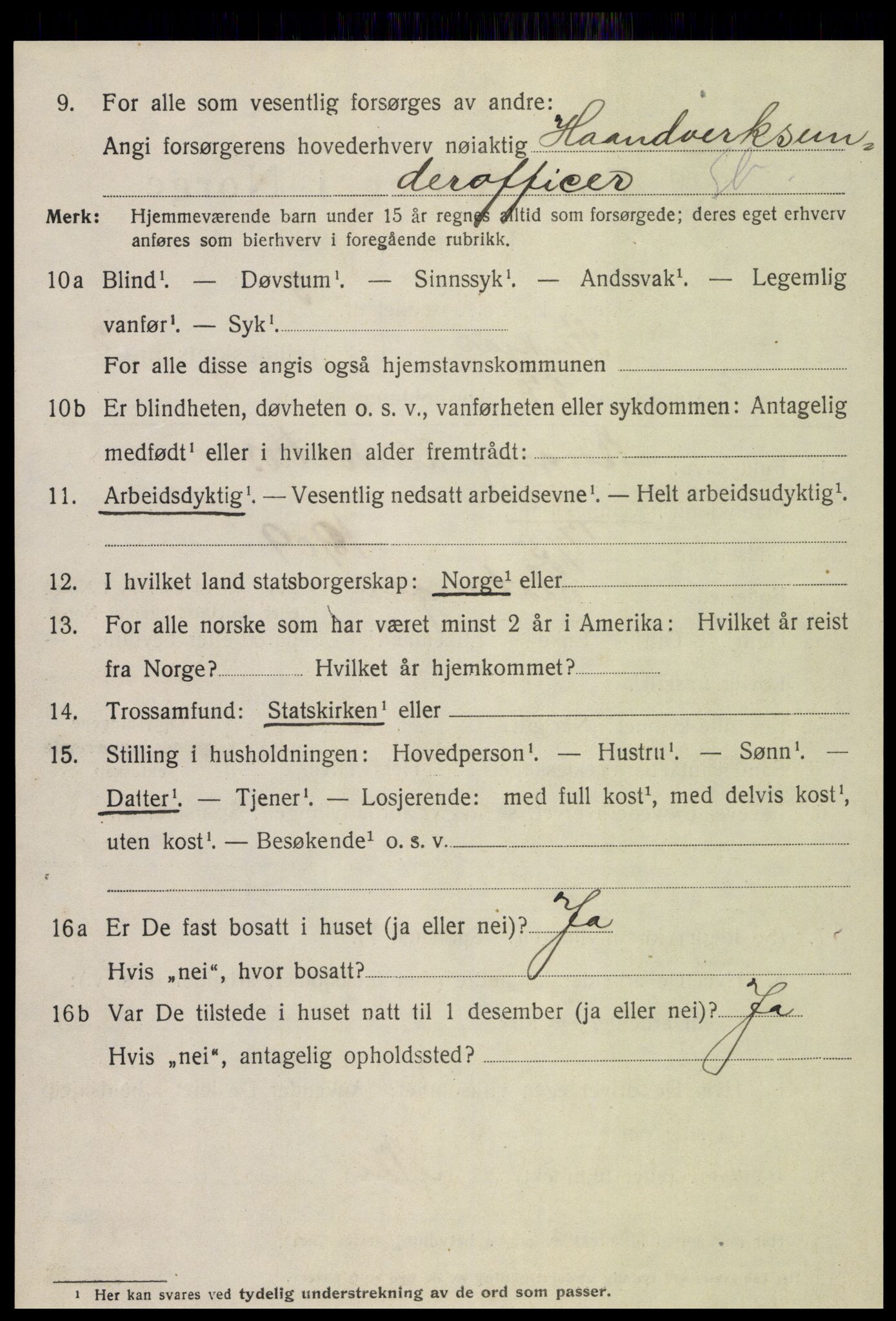 SAT, 1920 census for Steinkjer, 1920, p. 5333