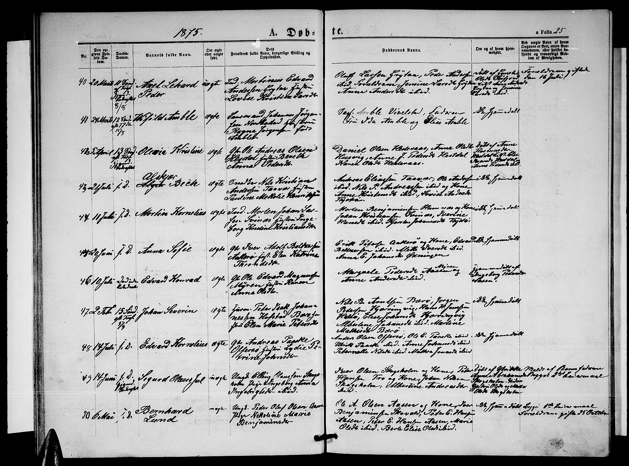 Ministerialprotokoller, klokkerbøker og fødselsregistre - Nordland, AV/SAT-A-1459/817/L0267: Parish register (copy) no. 817C02, 1870-1883, p. 25