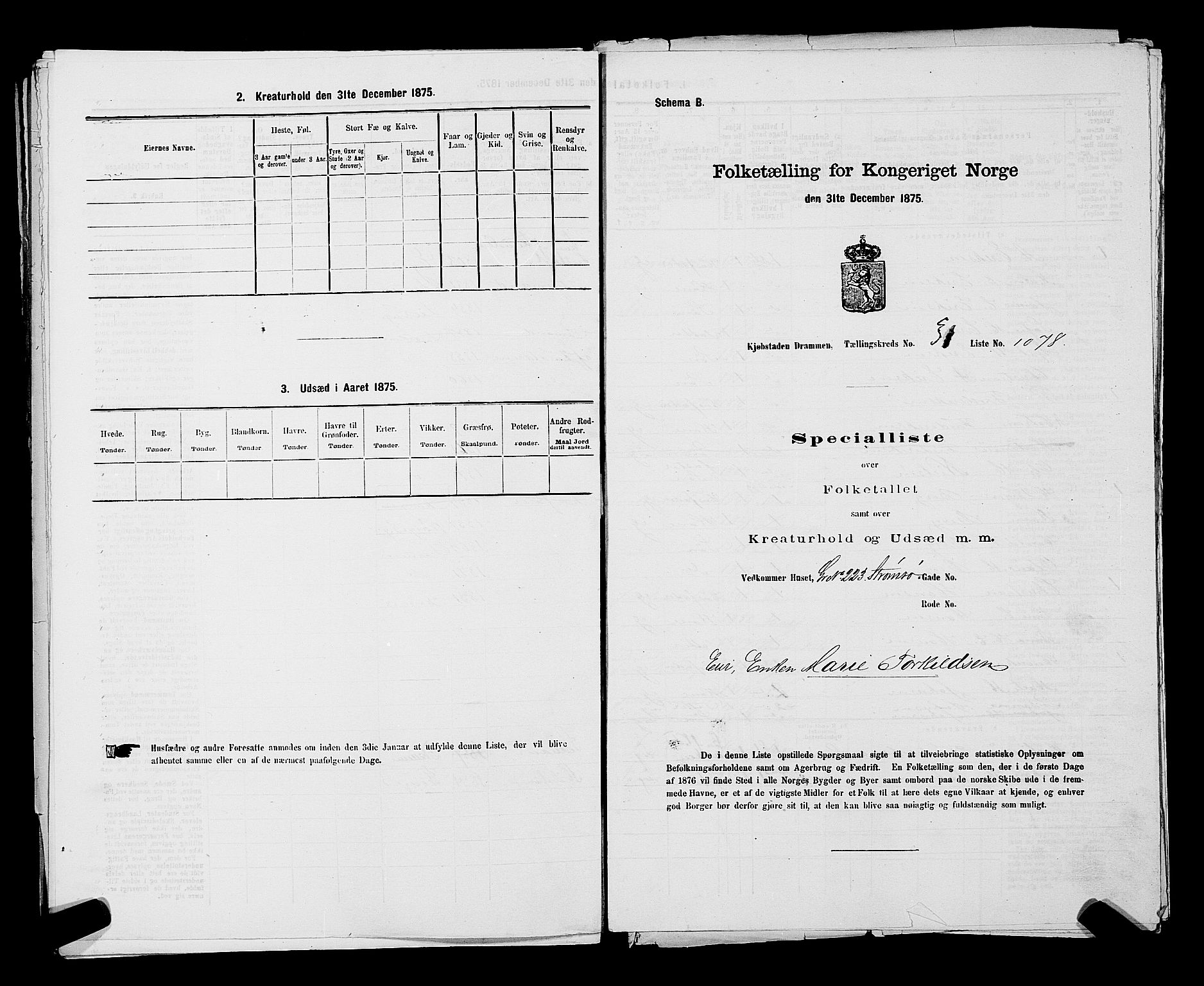 SAKO, 1875 census for 0602 Drammen, 1875, p. 2904