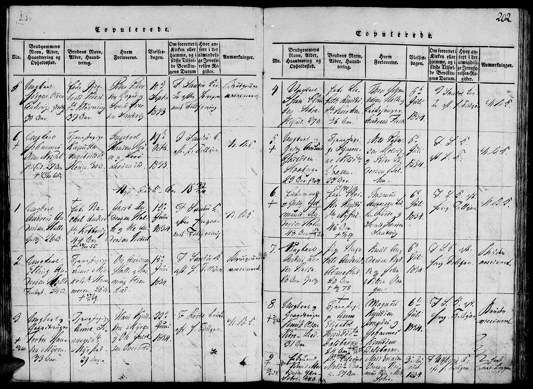 Ministerialprotokoller, klokkerbøker og fødselsregistre - Møre og Romsdal, AV/SAT-A-1454/503/L0033: Parish register (official) no. 503A01, 1816-1841, p. 202