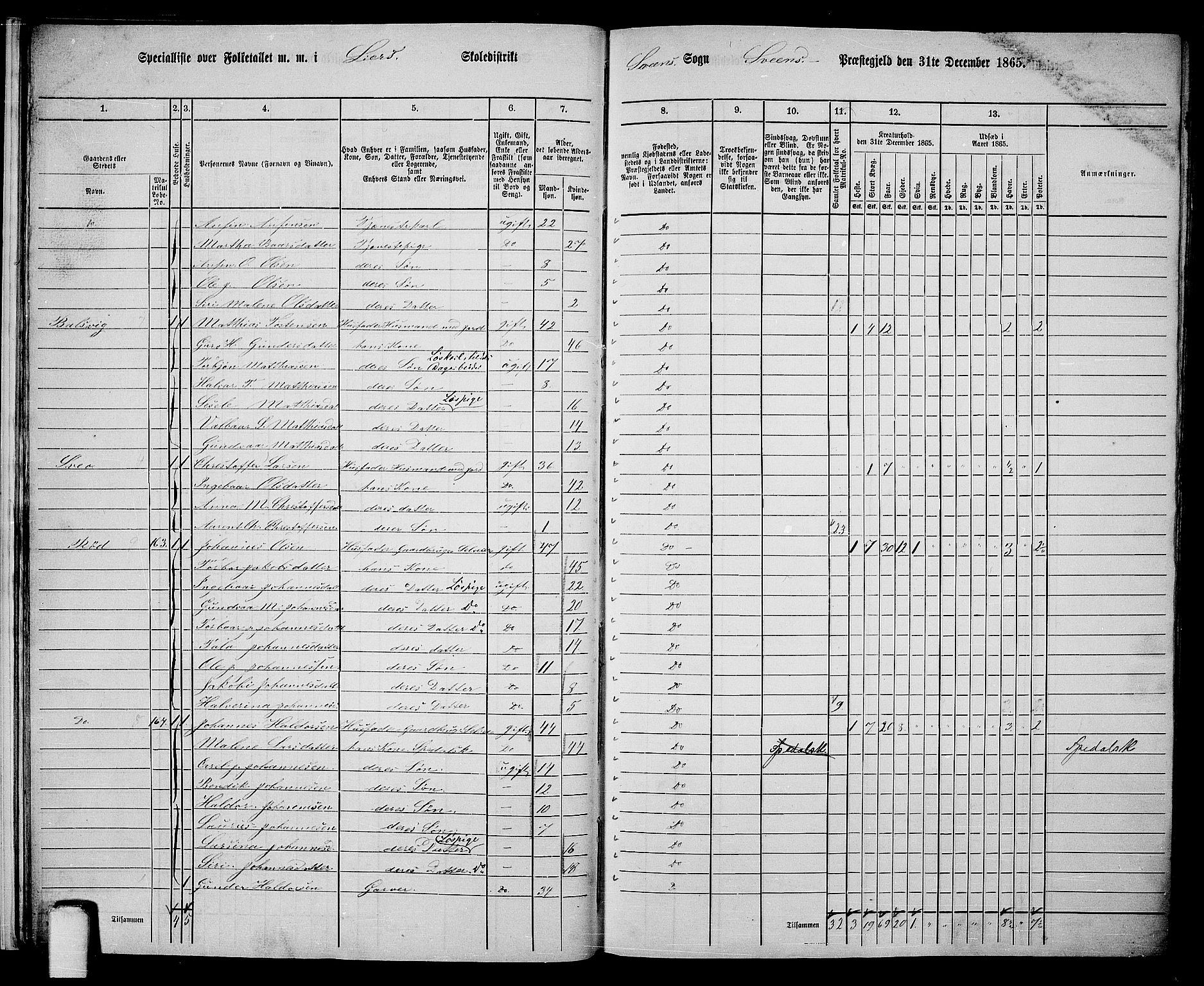 RA, 1865 census for Sveio, 1865, p. 16