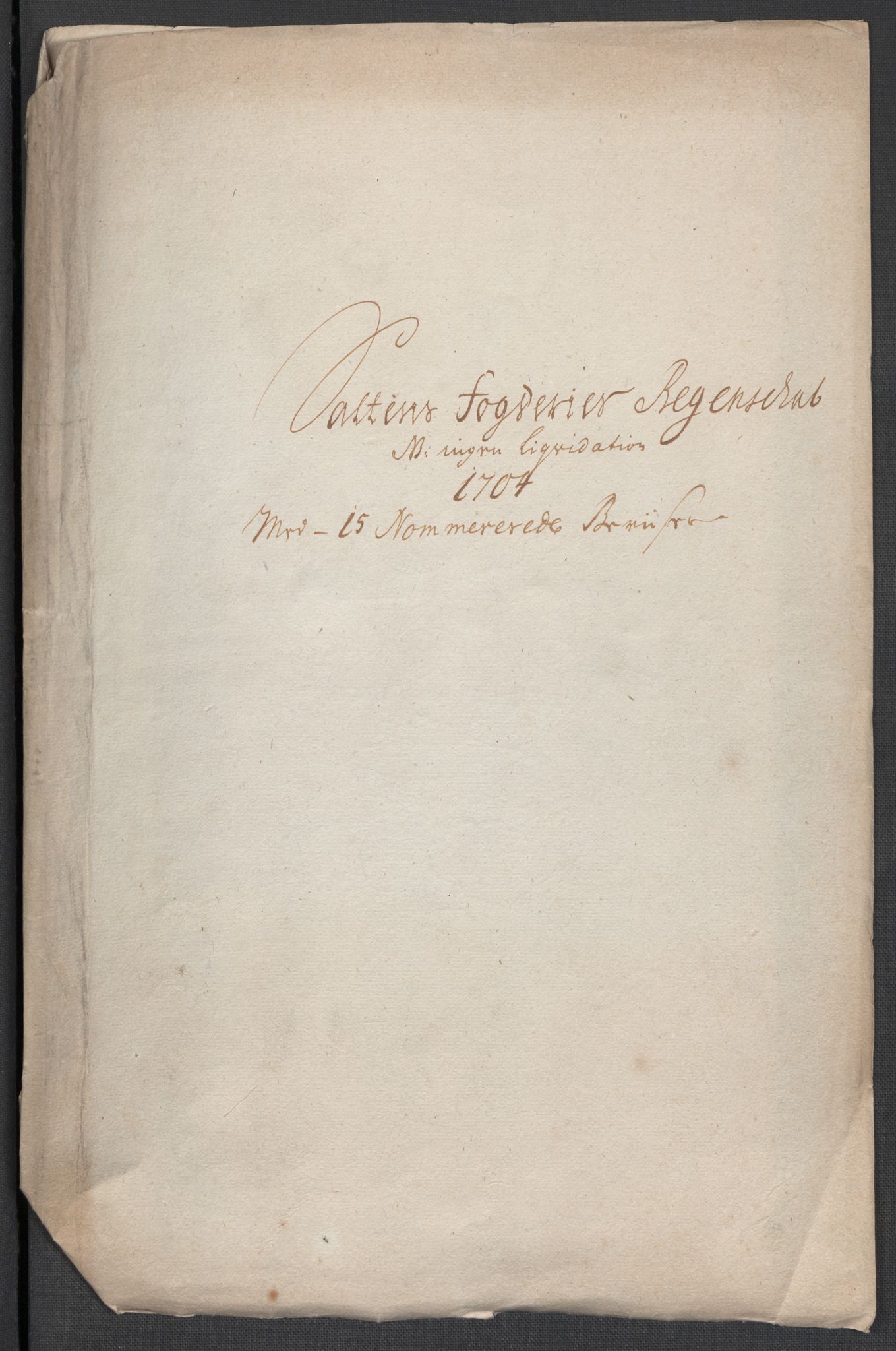 Rentekammeret inntil 1814, Reviderte regnskaper, Fogderegnskap, AV/RA-EA-4092/R66/L4580: Fogderegnskap Salten, 1701-1706, p. 232