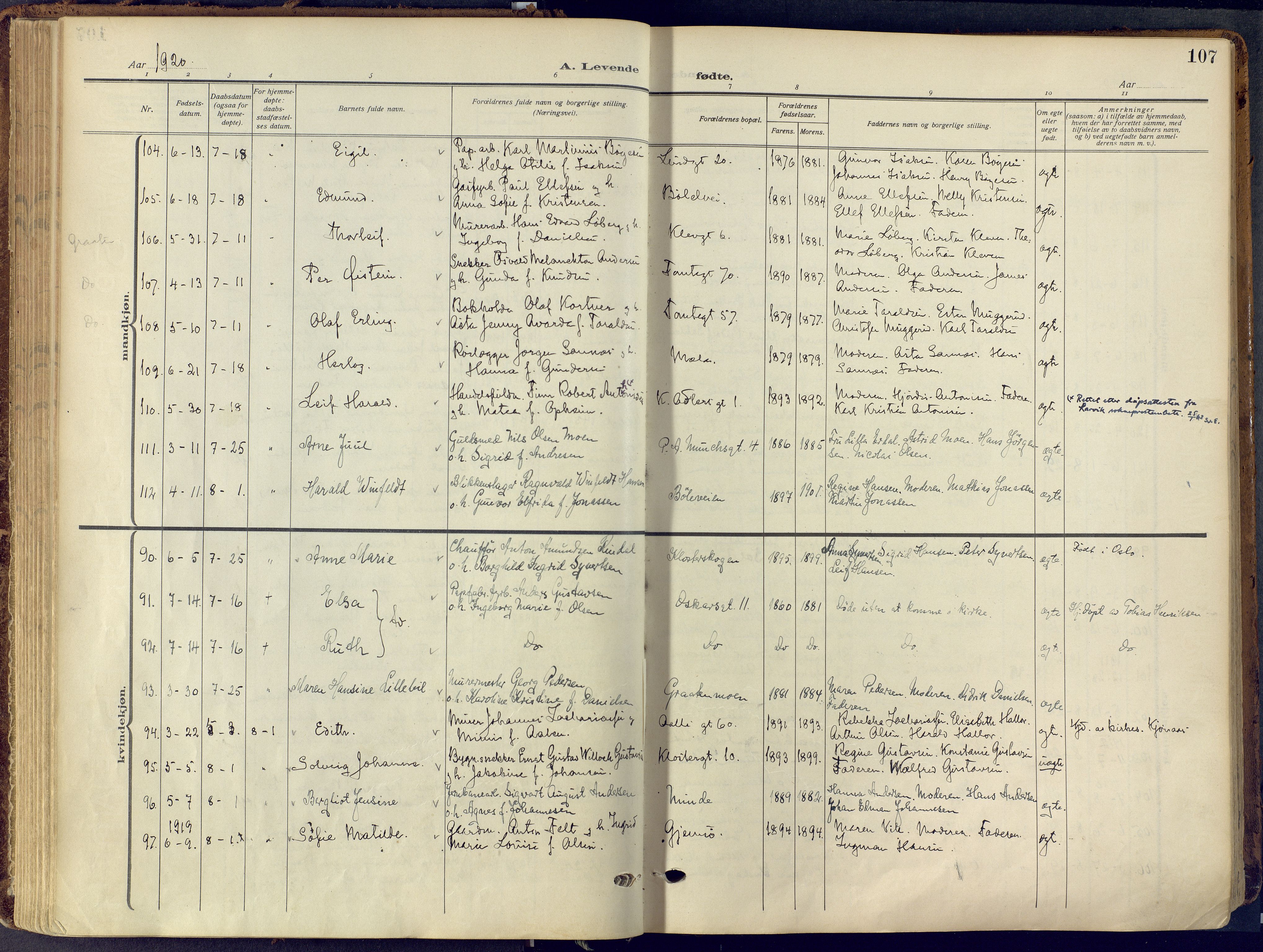 Skien kirkebøker, SAKO/A-302/F/Fa/L0013: Parish register (official) no. 13, 1915-1921, p. 107