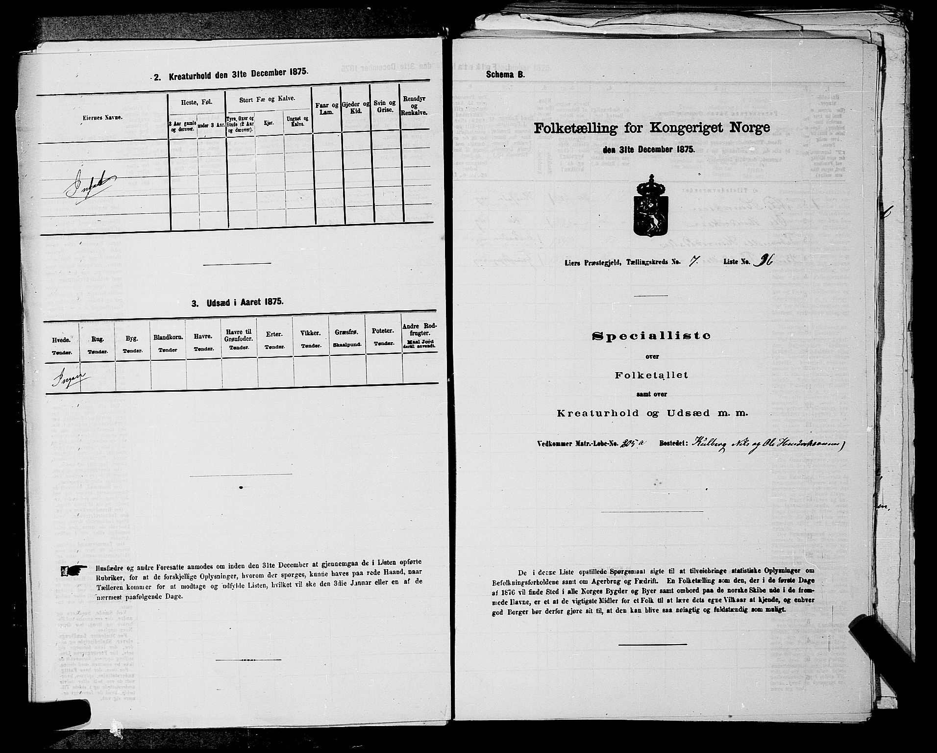 SAKO, 1875 census for 0626P Lier, 1875, p. 1293