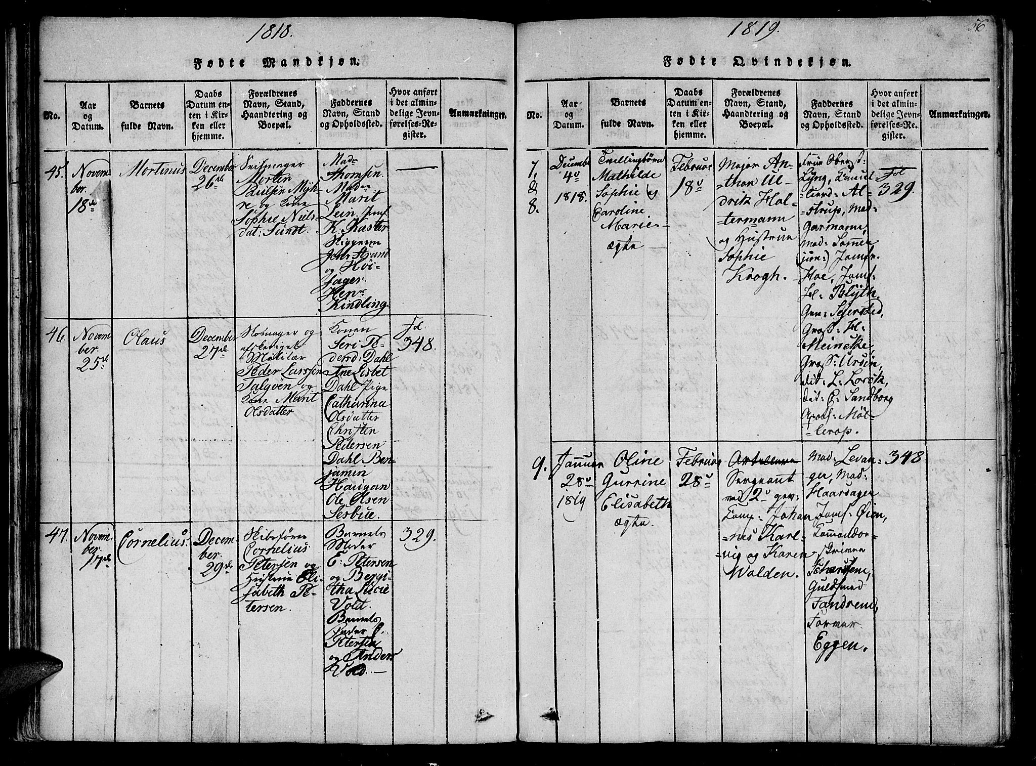 Ministerialprotokoller, klokkerbøker og fødselsregistre - Sør-Trøndelag, SAT/A-1456/602/L0107: Parish register (official) no. 602A05, 1815-1821, p. 56