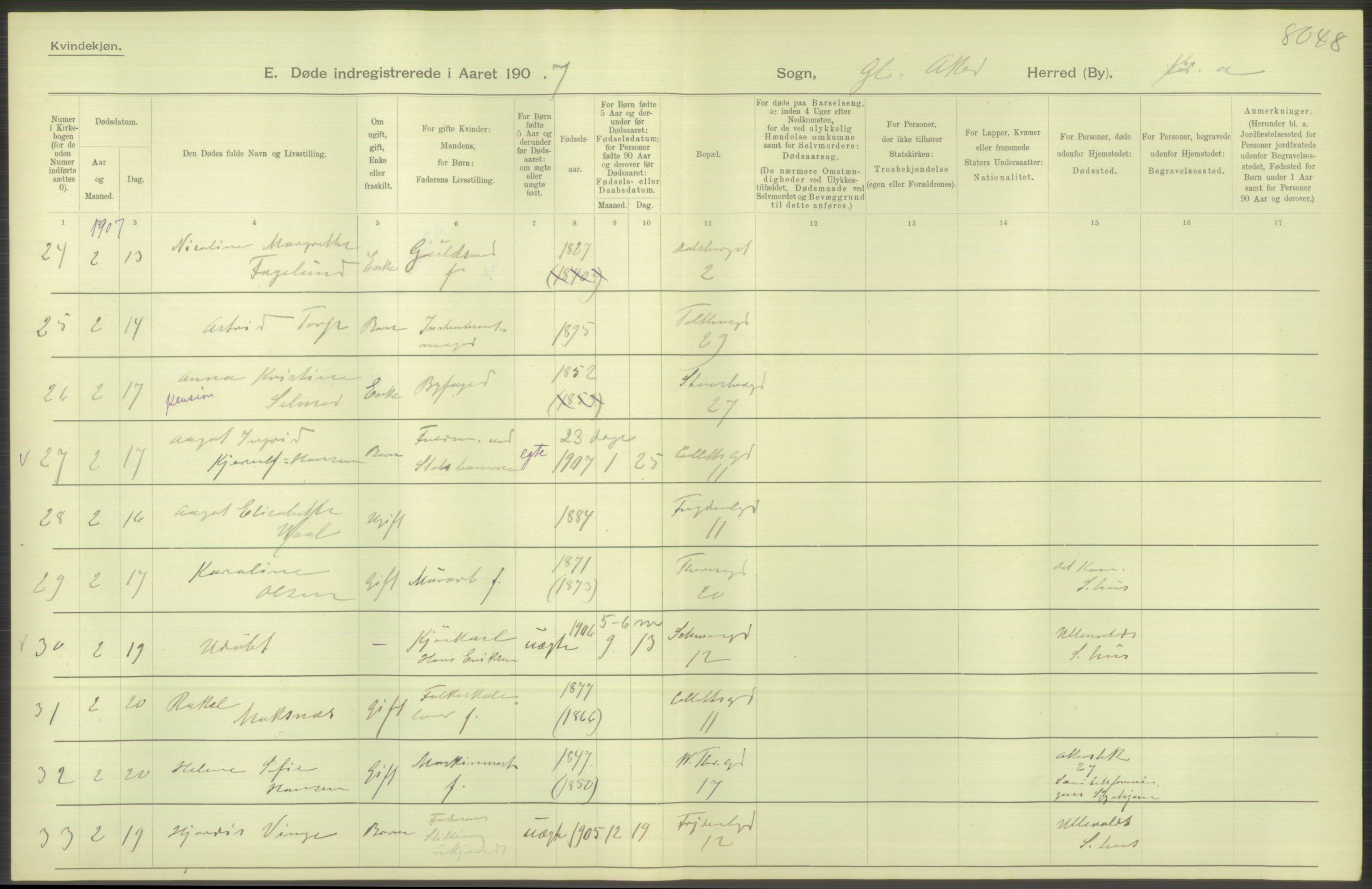 Statistisk sentralbyrå, Sosiodemografiske emner, Befolkning, AV/RA-S-2228/D/Df/Dfa/Dfae/L0009: Kristiania: Døde, 1907, p. 256