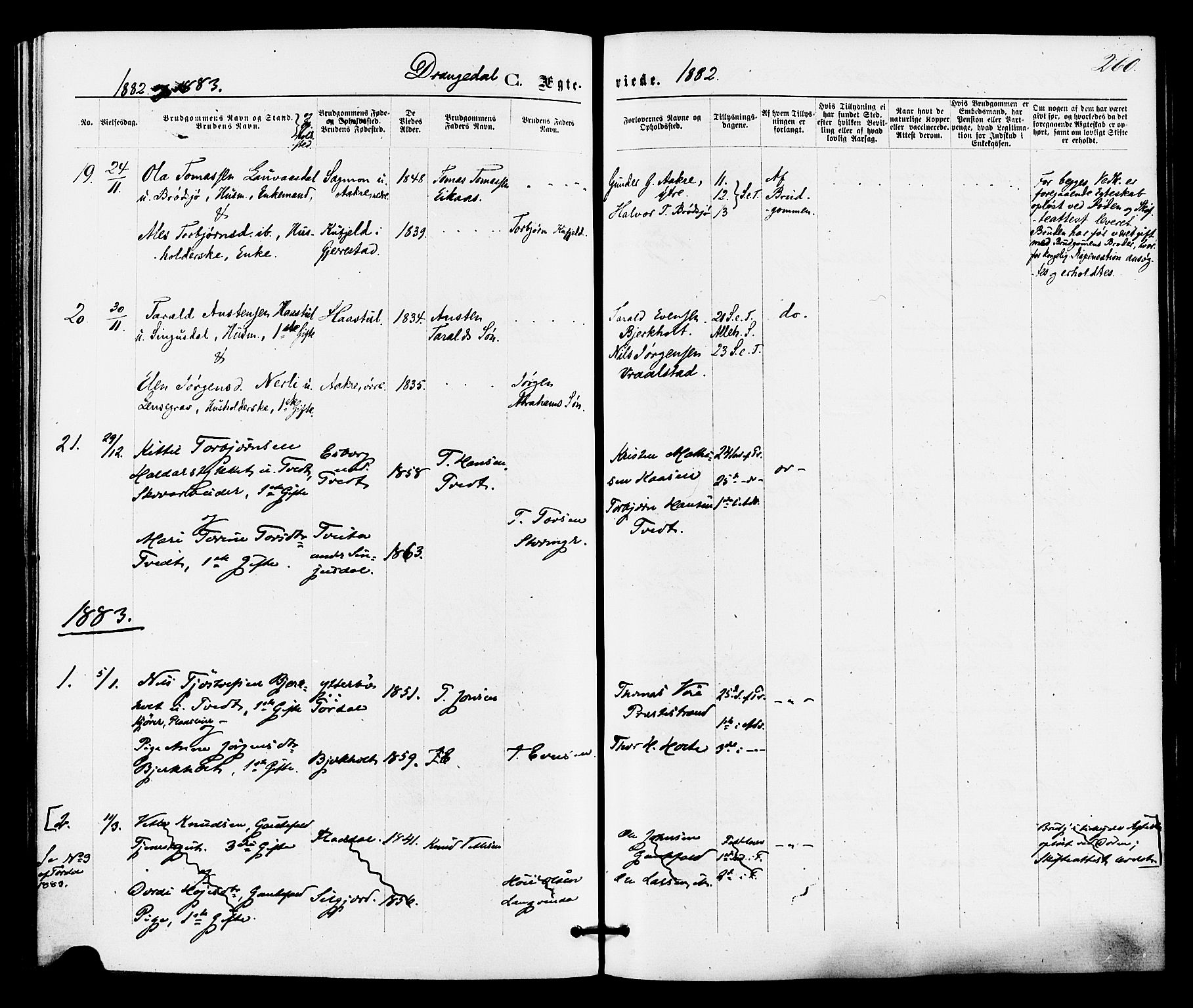 Drangedal kirkebøker, SAKO/A-258/F/Fa/L0009: Parish register (official) no. 9 /1, 1872-1884, p. 260