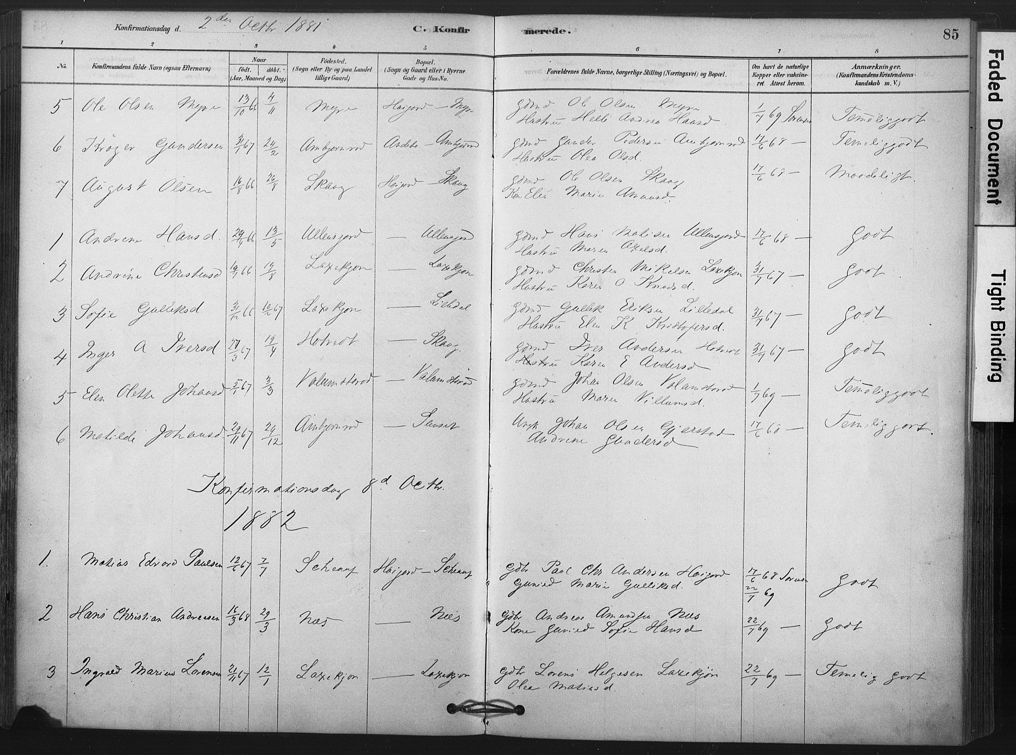 Andebu kirkebøker, SAKO/A-336/F/Fa/L0009: Parish register (official) no. 9, 1878-1909, p. 85