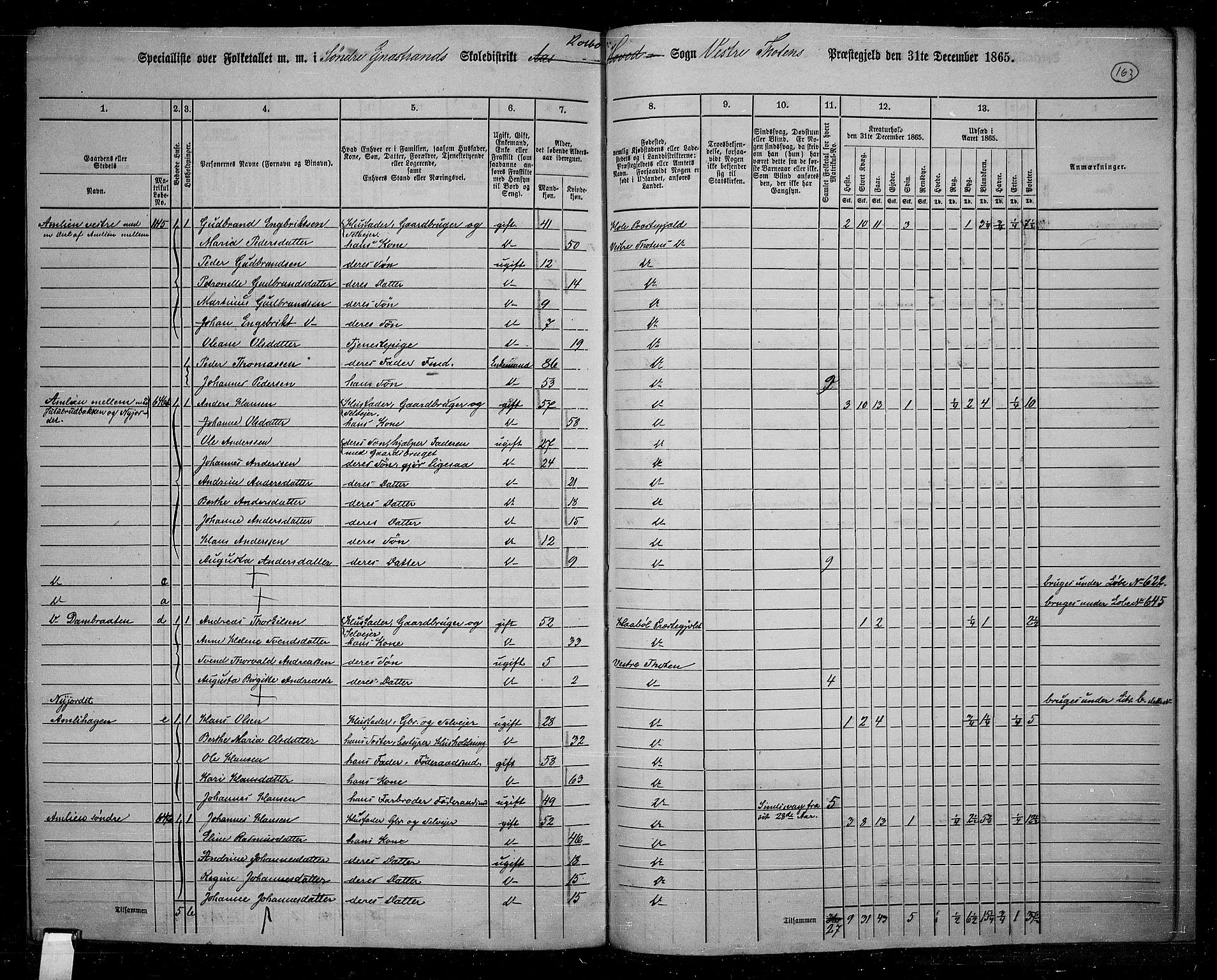 RA, 1865 census for Vestre Toten, 1865, p. 146