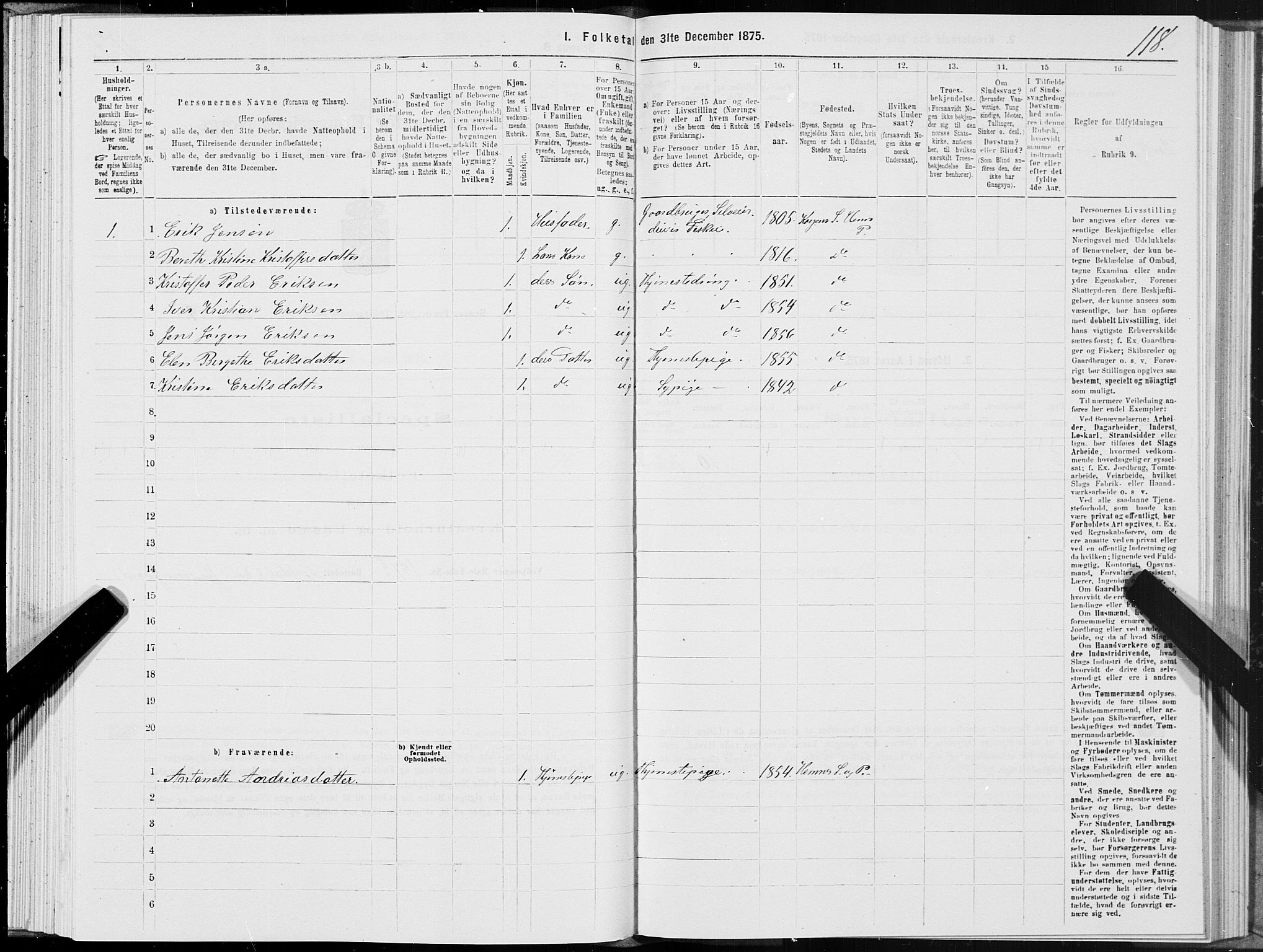 SAT, 1875 census for 1832P Hemnes, 1875, p. 4118