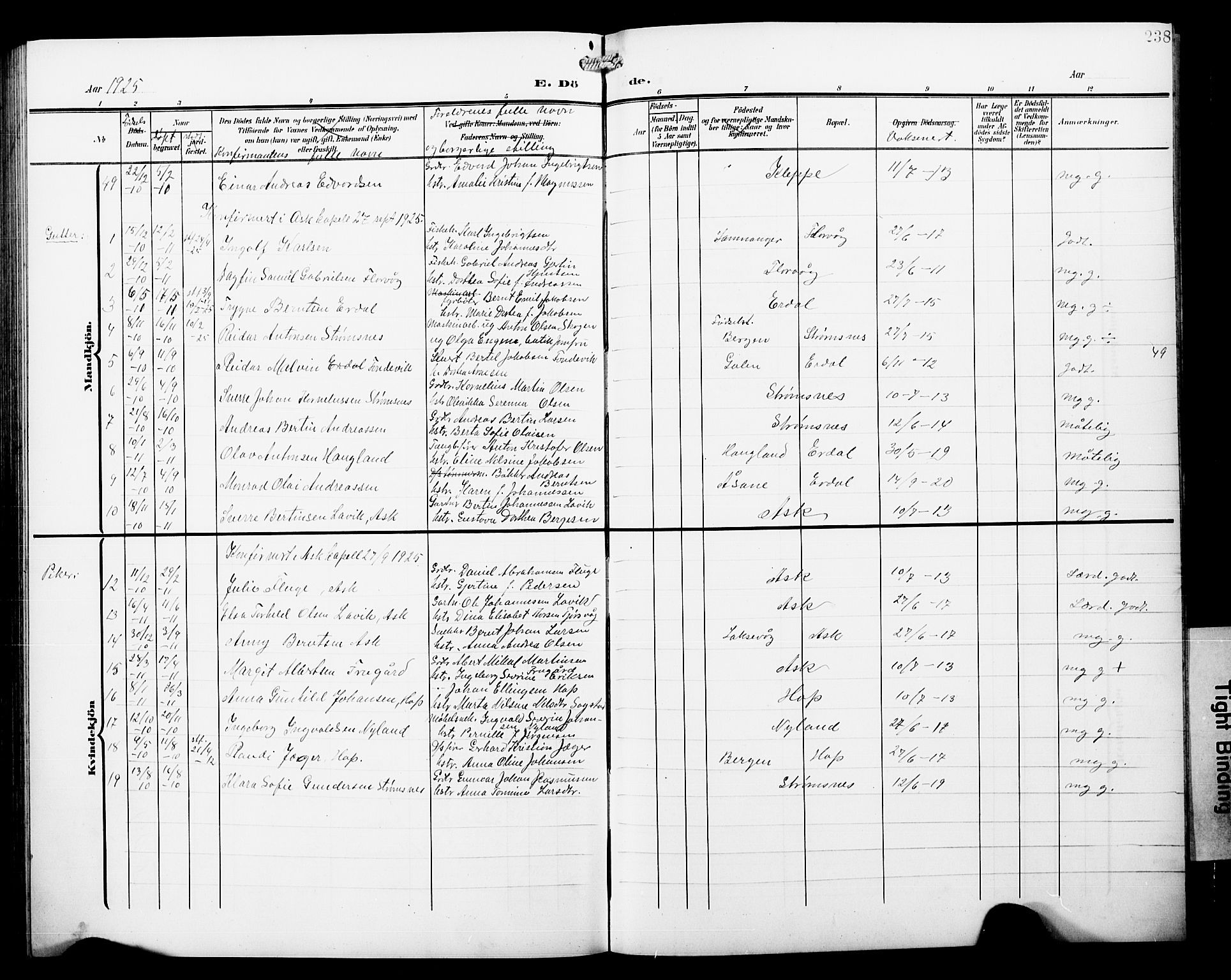 Askøy Sokneprestembete, SAB/A-74101/H/Ha/Hab/Haba/L0014: Parish register (copy) no. A 14, 1904-1927, p. 238