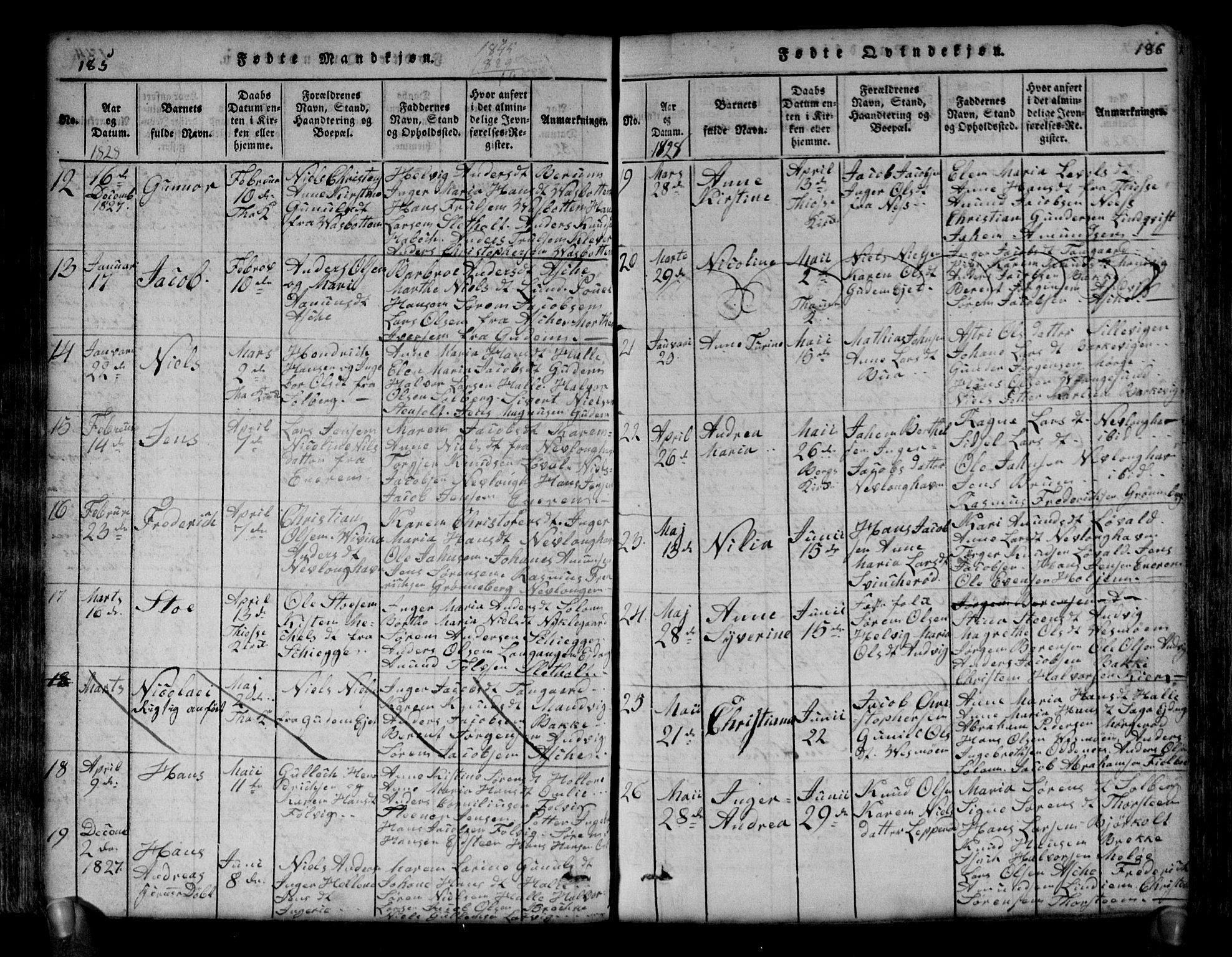 Brunlanes kirkebøker, AV/SAKO-A-342/G/Ga/L0001: Parish register (copy) no. I 1, 1814-1834, p. 185-186