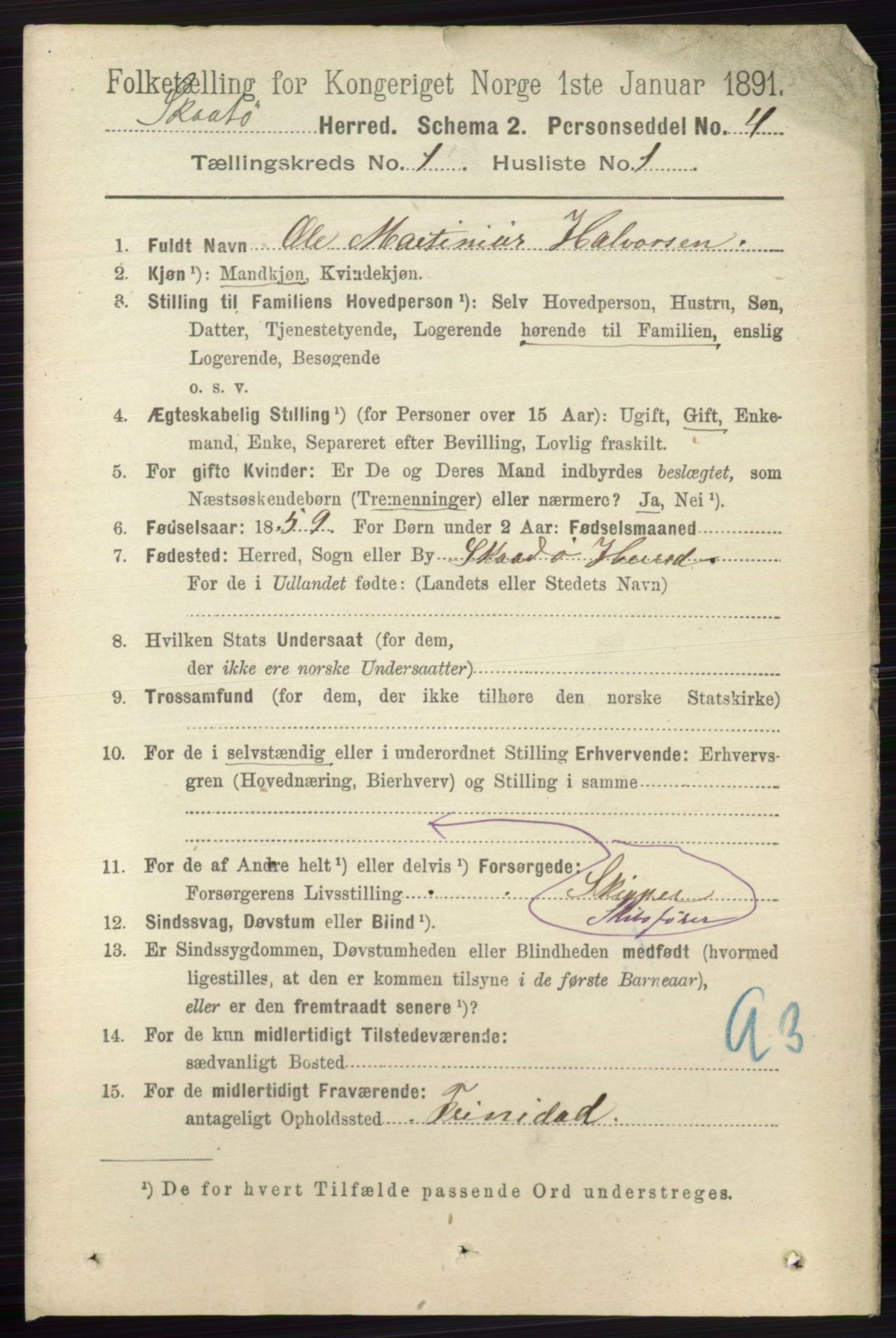 RA, 1891 census for 0815 Skåtøy, 1891, p. 95