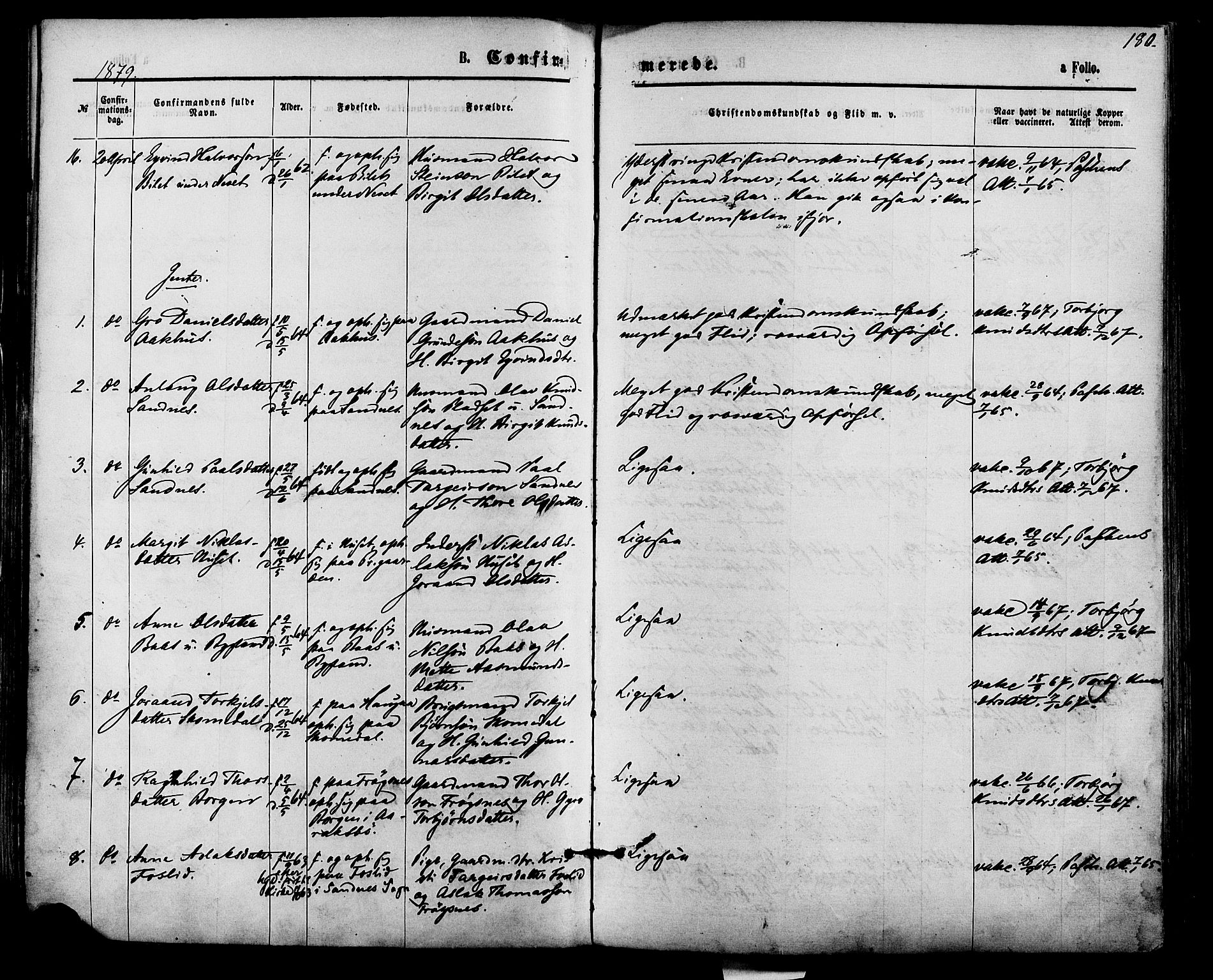 Bygland sokneprestkontor, AV/SAK-1111-0006/F/Fa/Fab/L0006: Parish register (official) no. A 6, 1873-1884, p. 180