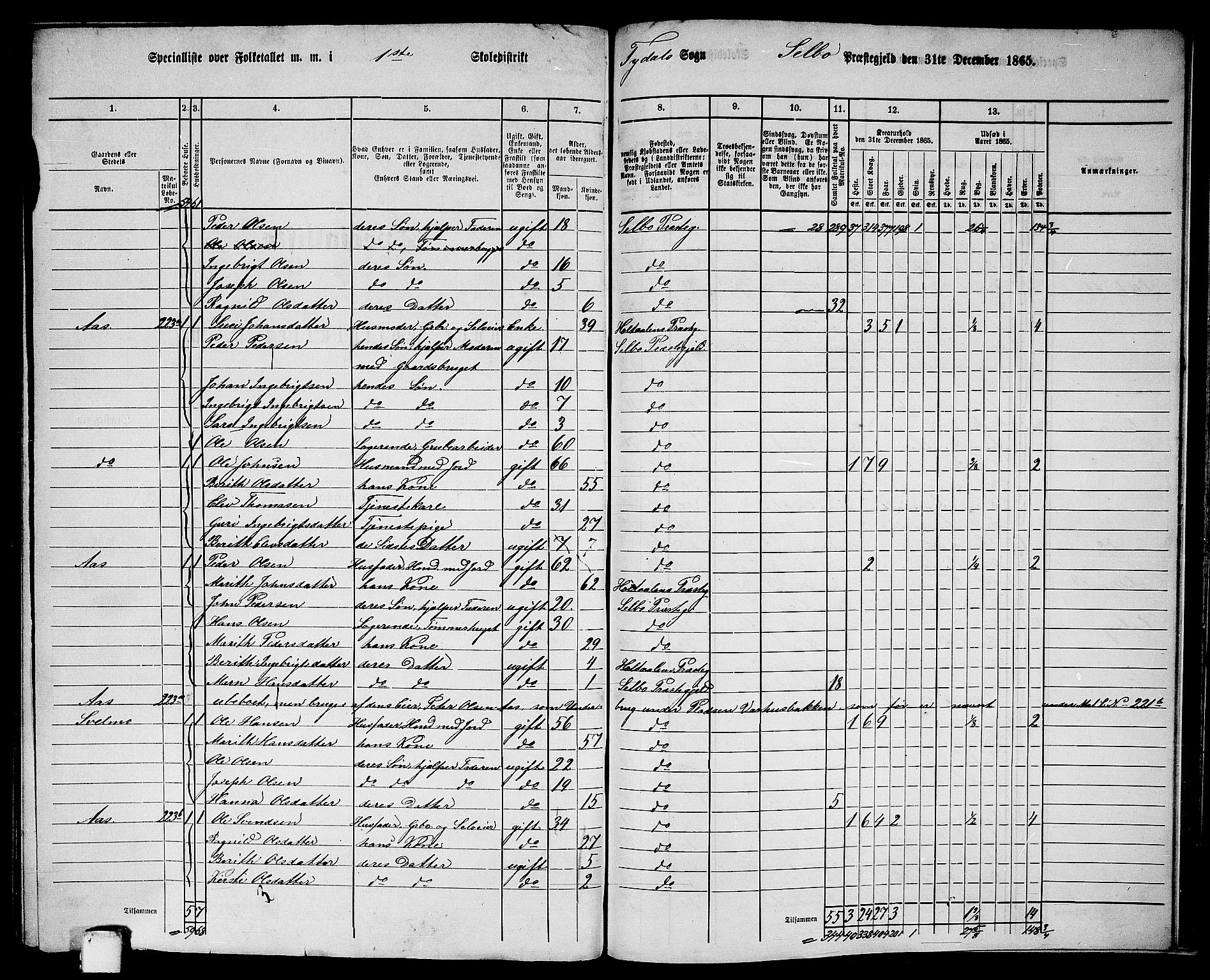 RA, 1865 census for Selbu, 1865, p. 235