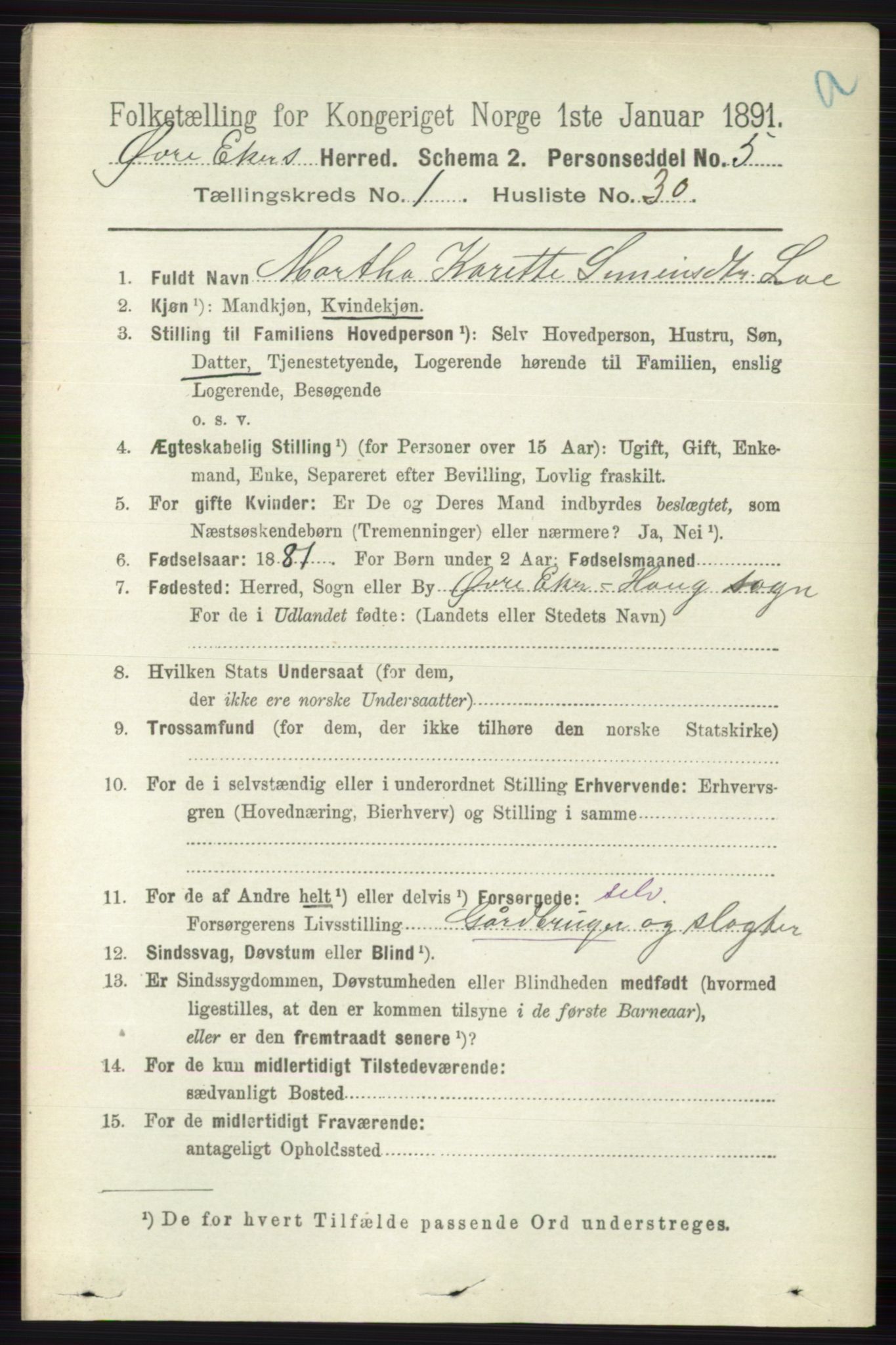 RA, 1891 census for 0624 Øvre Eiker, 1891, p. 305