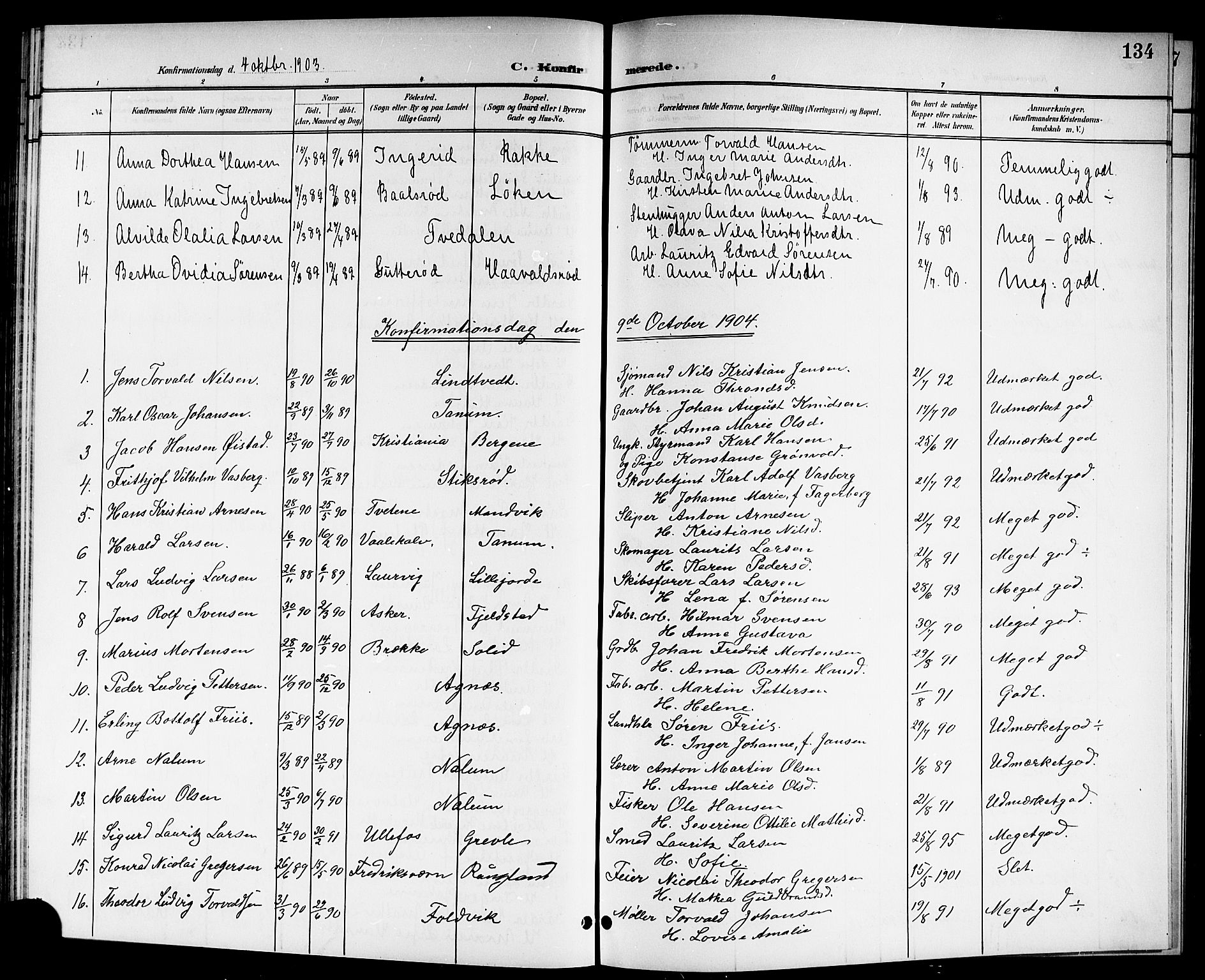 Brunlanes kirkebøker, SAKO/A-342/G/Ga/L0004: Parish register (copy) no. I 4, 1898-1921, p. 134