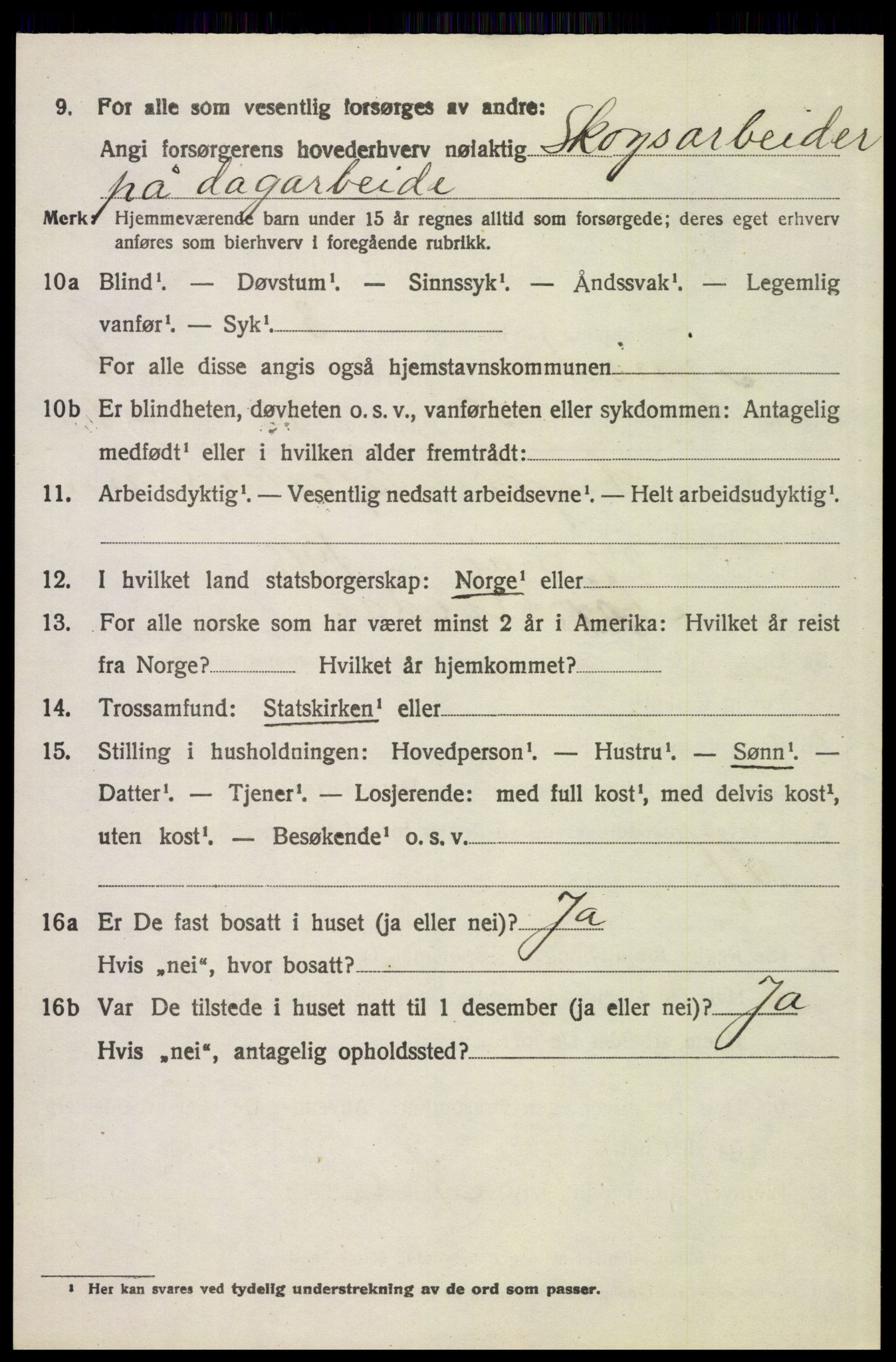 SAH, 1920 census for Tynset, 1920, p. 3955