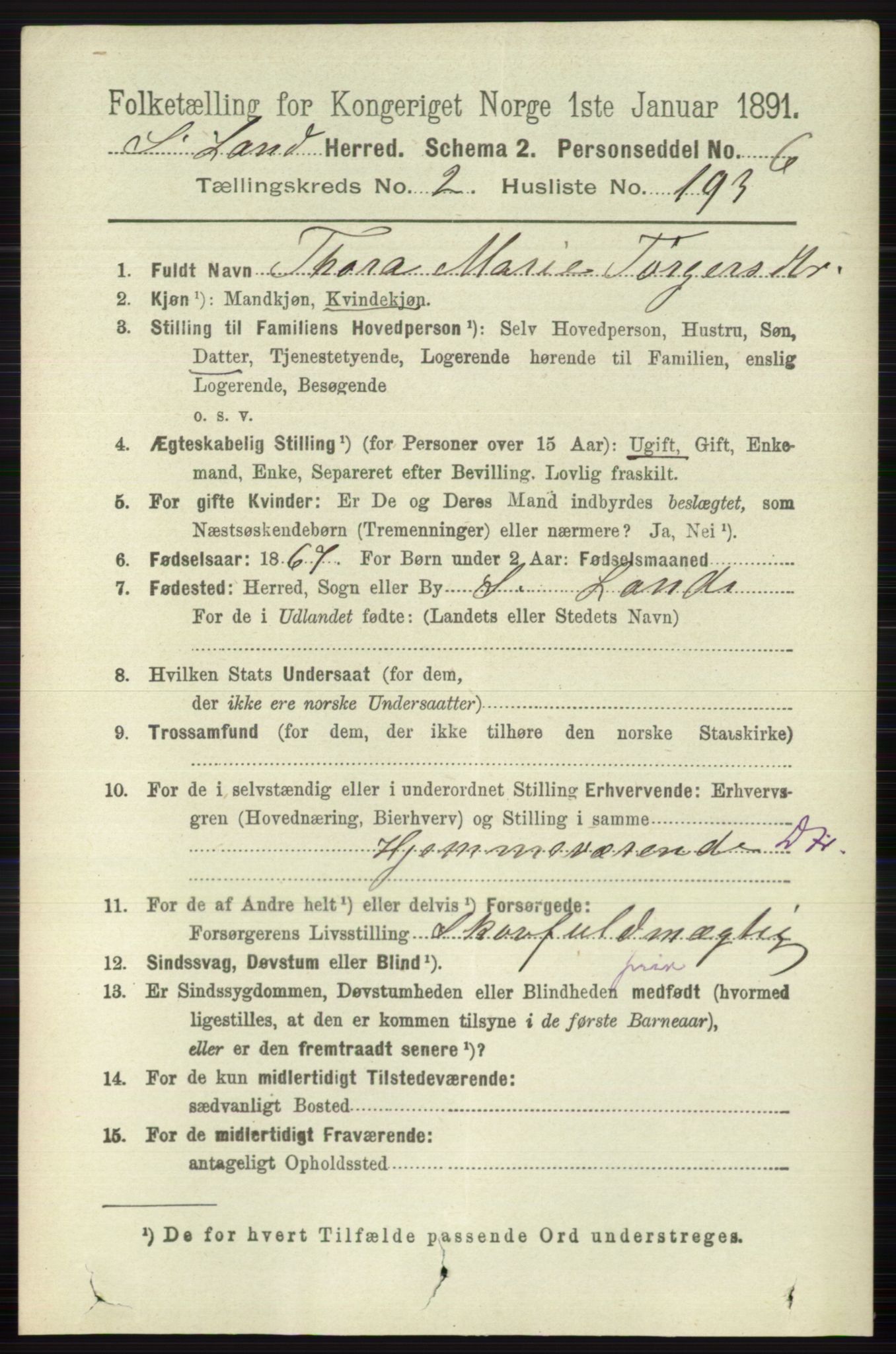 RA, 1891 census for 0536 Søndre Land, 1891, p. 2258