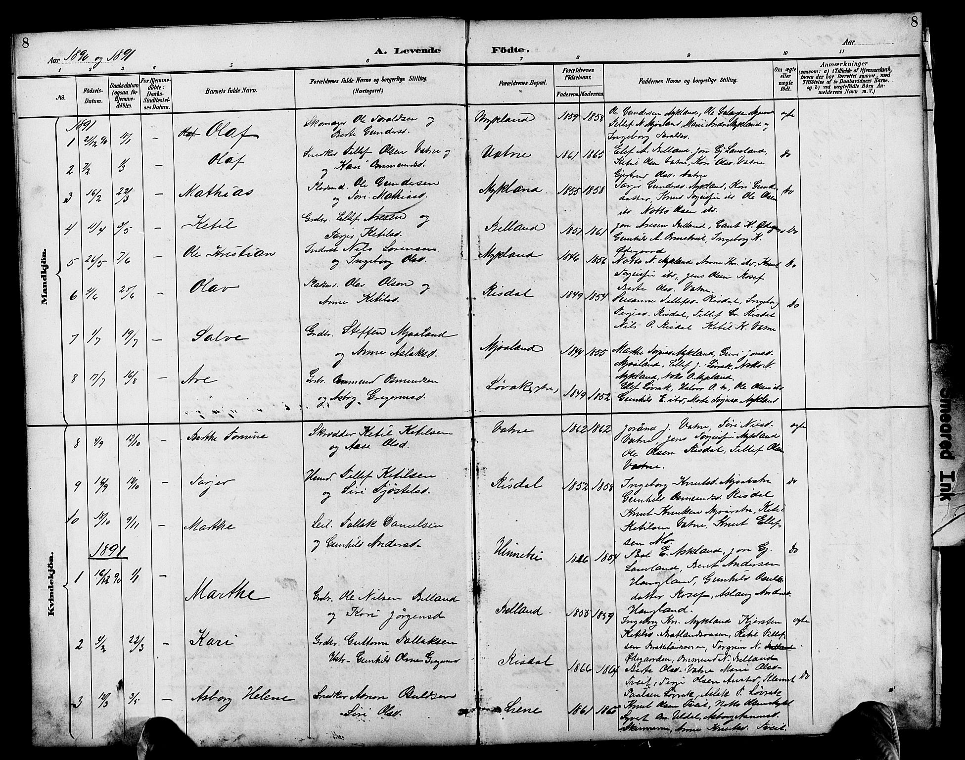 Herefoss sokneprestkontor, AV/SAK-1111-0019/F/Fb/Fbc/L0003: Parish register (copy) no. B 3, 1887-1915, p. 8