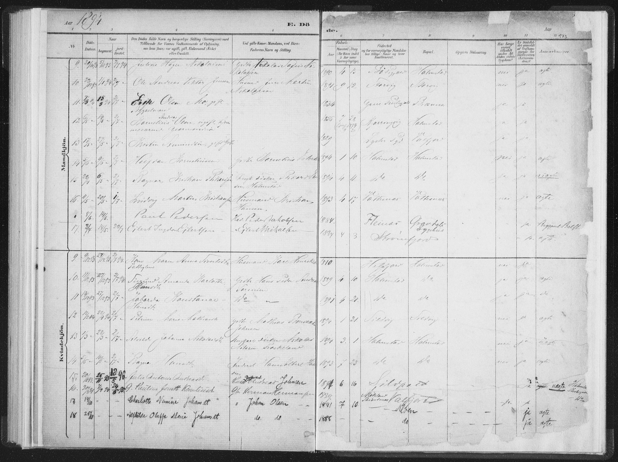 Ministerialprotokoller, klokkerbøker og fødselsregistre - Nordland, SAT/A-1459/890/L1286: Parish register (official) no. 890A01, 1882-1902, p. 173