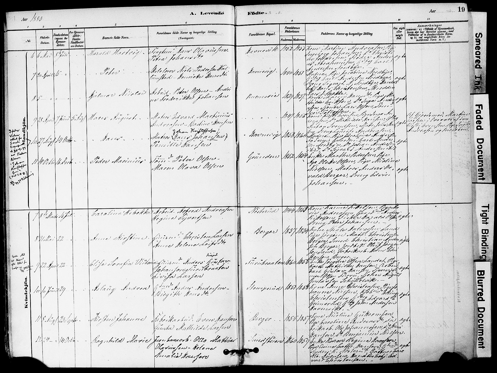 Strømm kirkebøker, AV/SAKO-A-322/F/Fa/L0004: Parish register (official) no. I 4, 1878-1899, p. 19