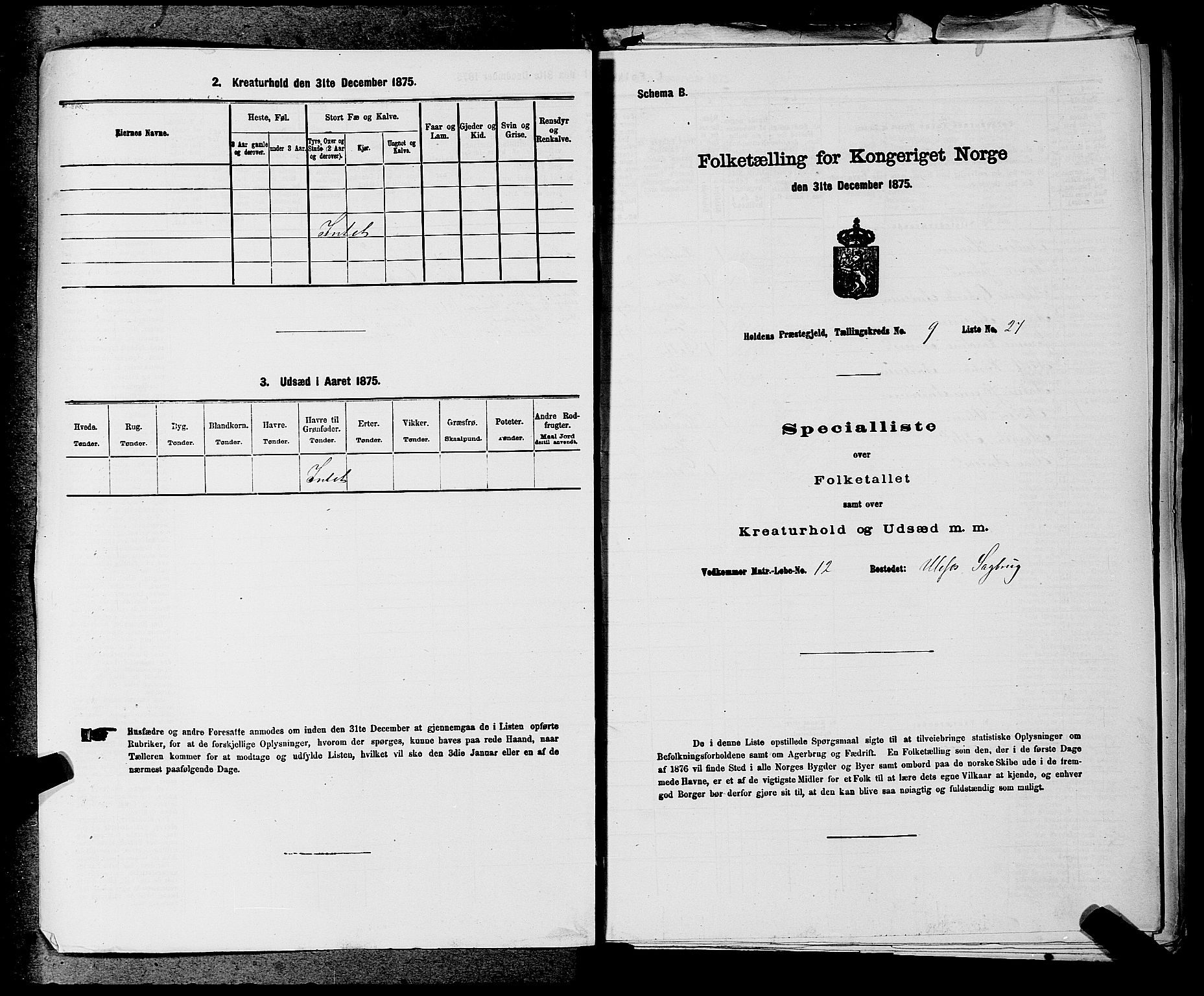 SAKO, 1875 census for 0819P Holla, 1875, p. 1132