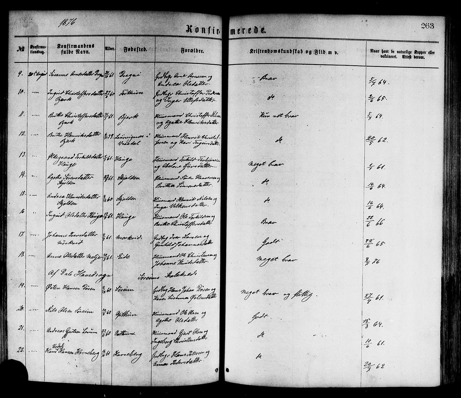 Luster sokneprestembete, SAB/A-81101/H/Haa/Haaa/L0010: Parish register (official) no. A 10, 1871-1886, p. 263