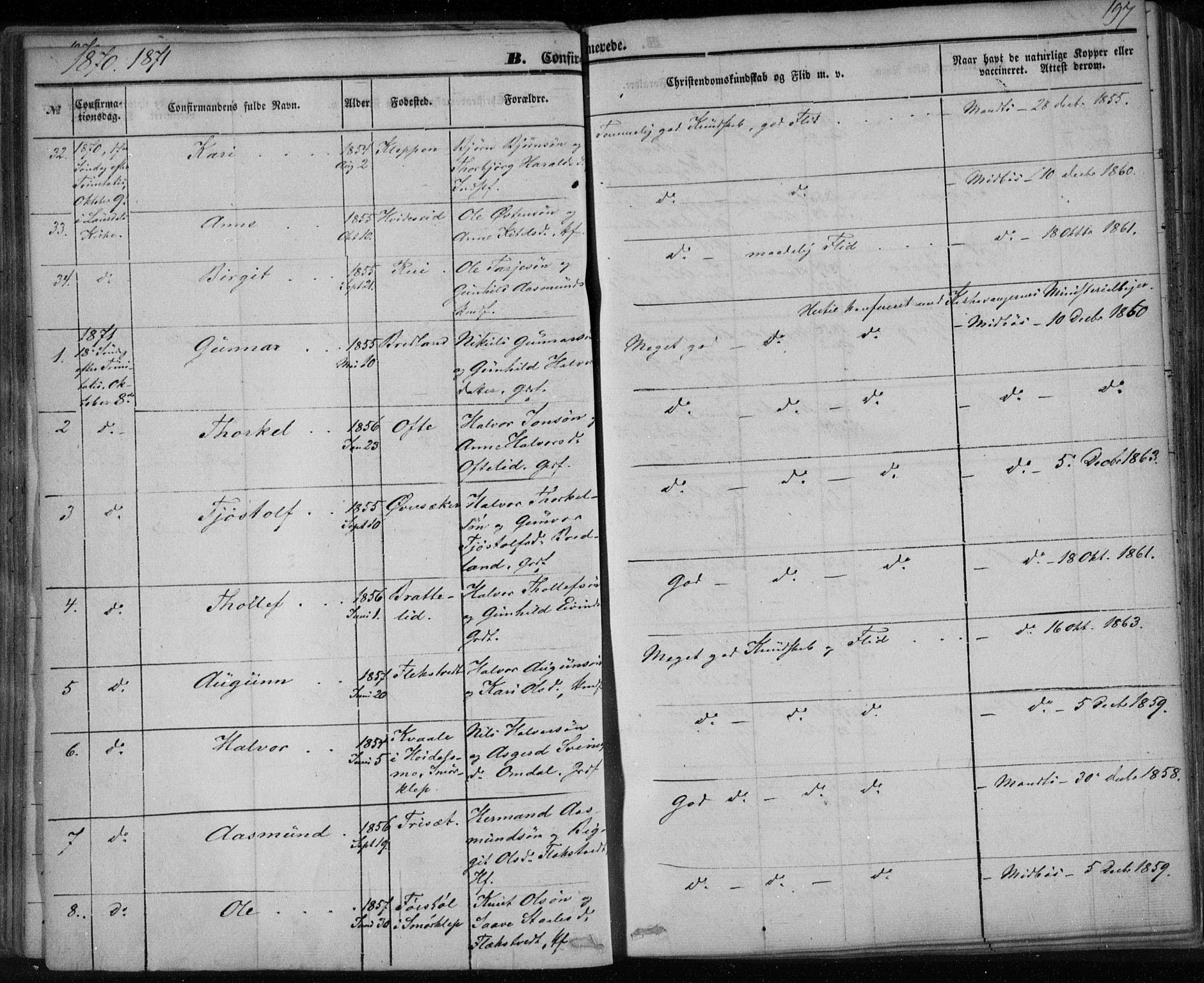 Lårdal kirkebøker, SAKO/A-284/F/Fa/L0006: Parish register (official) no. I 6, 1861-1886, p. 197