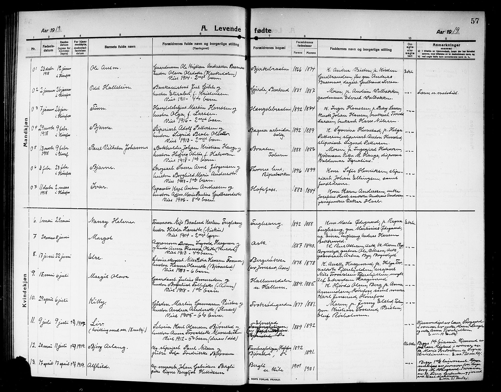 Norderhov kirkebøker, AV/SAKO-A-237/G/Ga/L0009: Parish register (copy) no. I 9, 1913-1920, p. 57