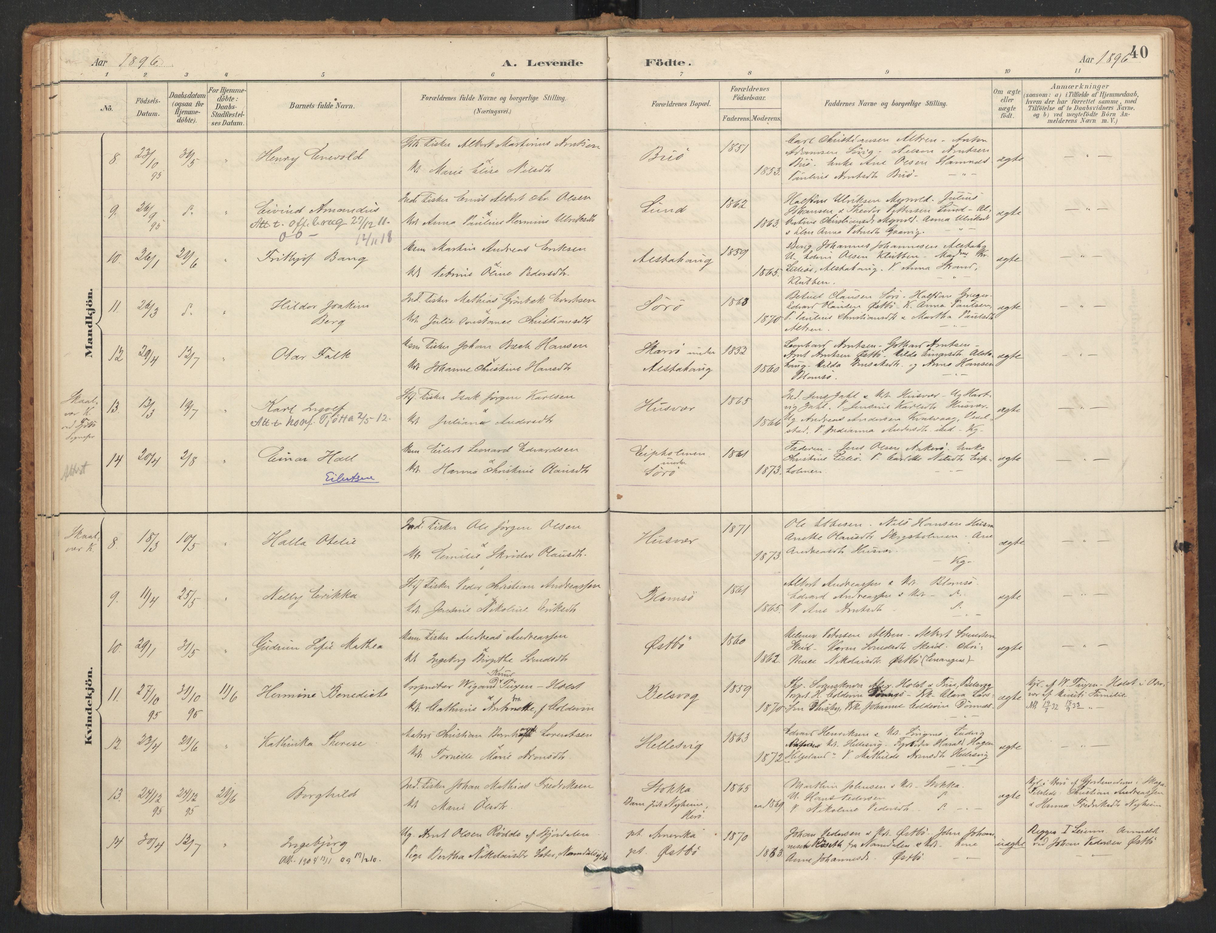 Ministerialprotokoller, klokkerbøker og fødselsregistre - Nordland, AV/SAT-A-1459/830/L0453: Parish register (official) no. 830A17, 1886-1911, p. 40