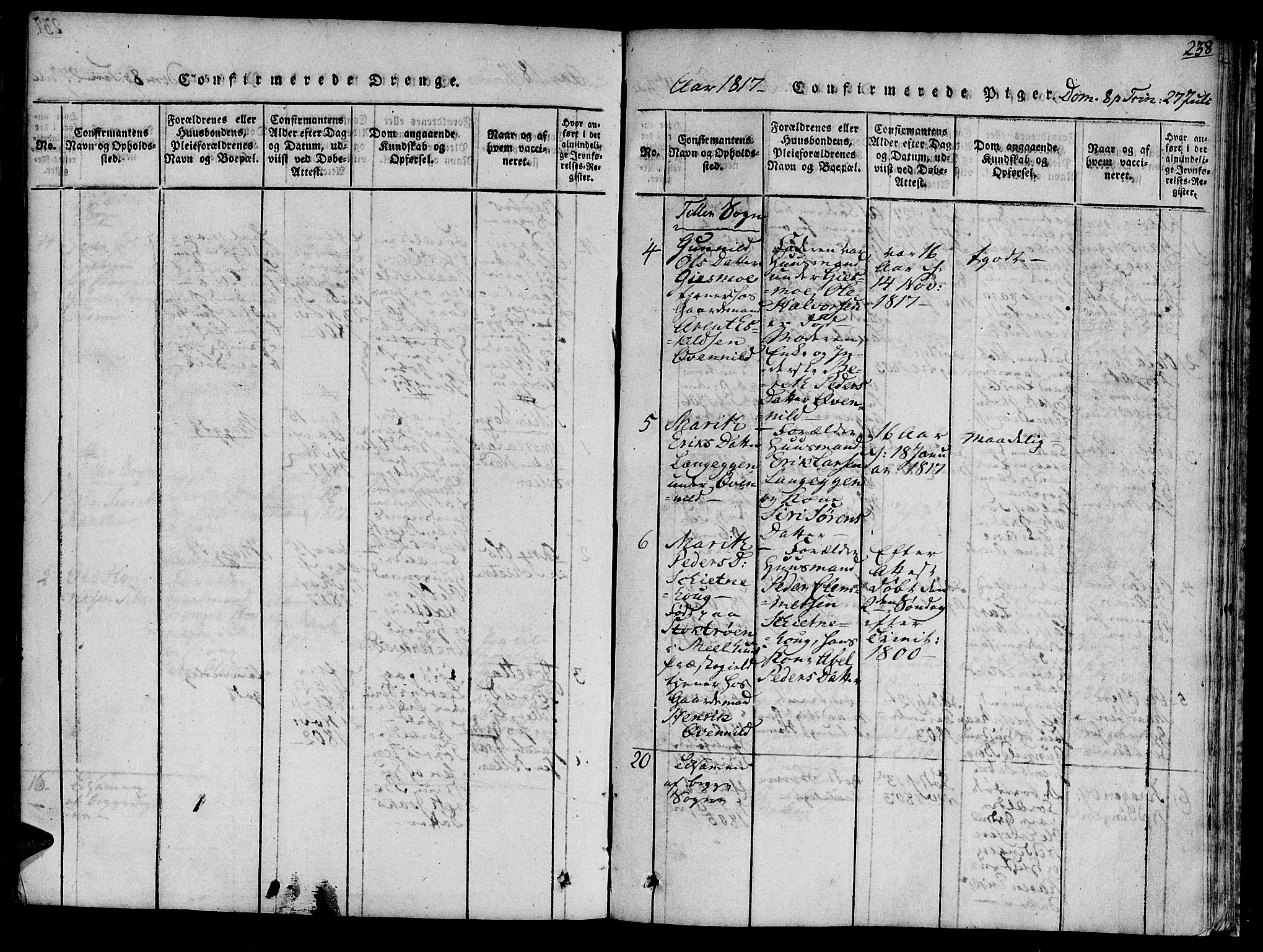 Ministerialprotokoller, klokkerbøker og fødselsregistre - Sør-Trøndelag, SAT/A-1456/618/L0439: Parish register (official) no. 618A04 /1, 1816-1843, p. 238