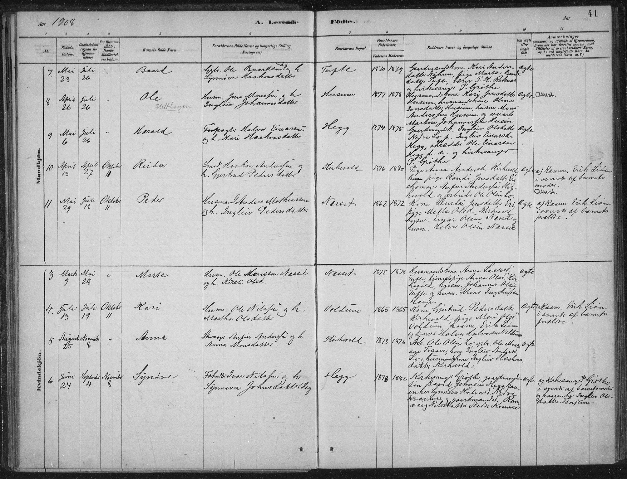 Lærdal sokneprestembete, AV/SAB-A-81201: Parish register (official) no. C  1, 1878-1911, p. 41