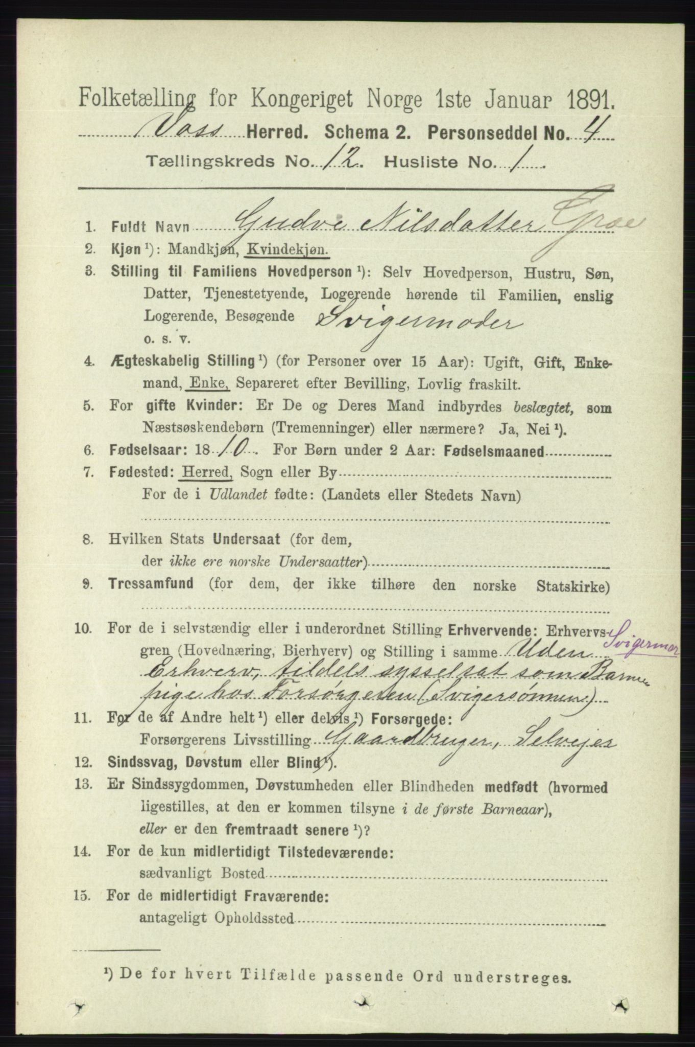 RA, 1891 census for 1235 Voss, 1891, p. 6484