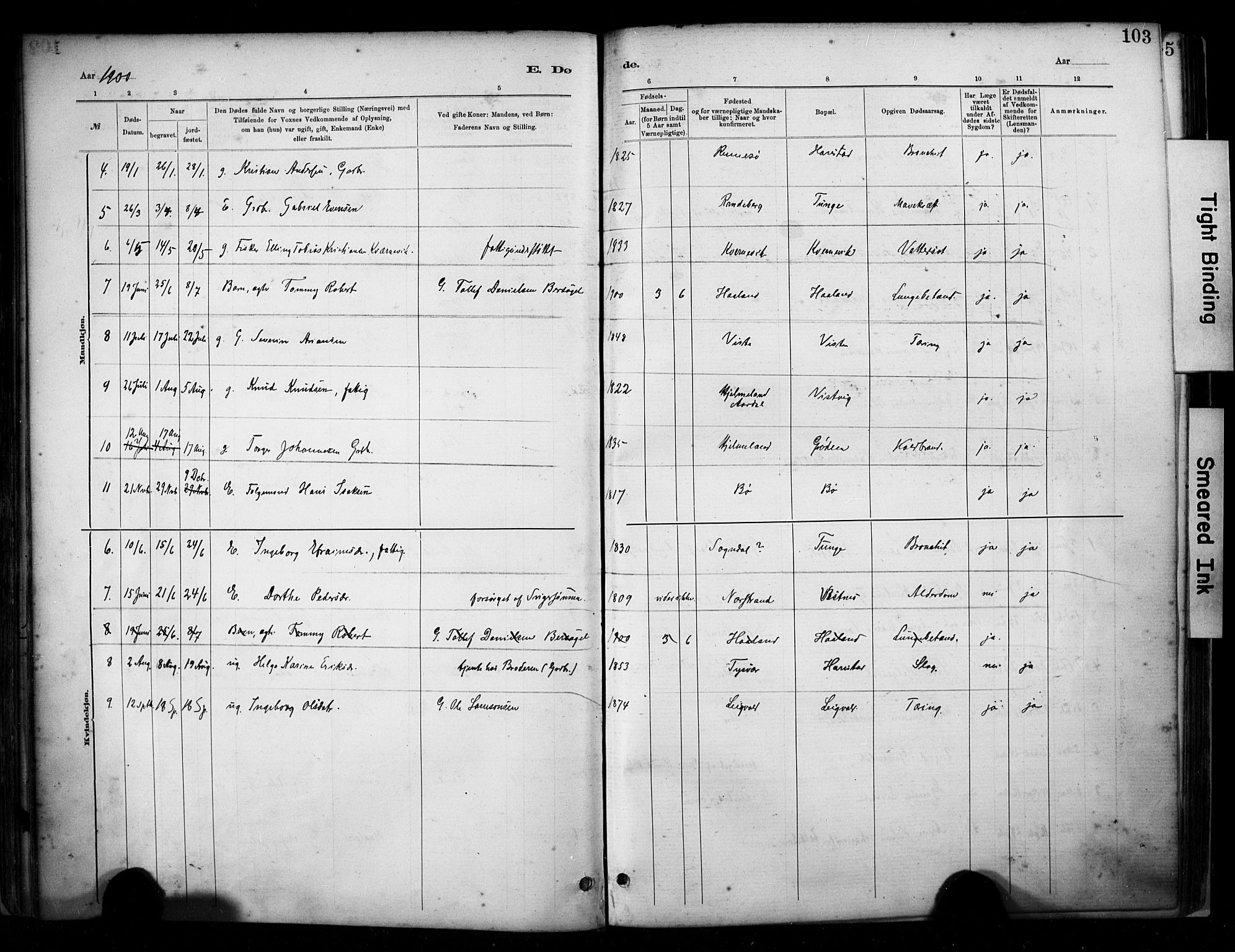 Hetland sokneprestkontor, SAST/A-101826/30/30BA/L0009: Parish register (official) no. A 9, 1882-1918, p. 103