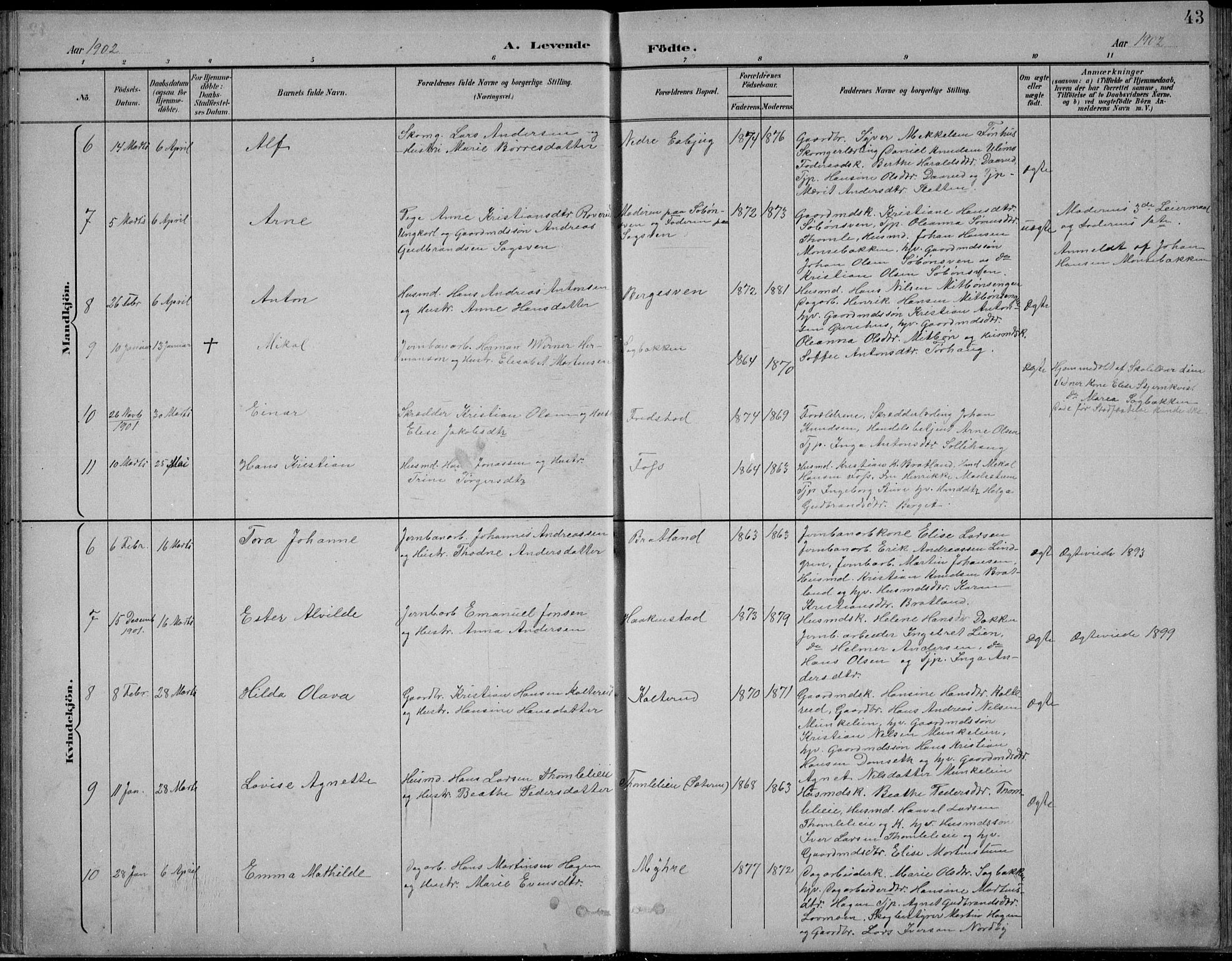 Nordre Land prestekontor, AV/SAH-PREST-124/H/Ha/Hab/L0013: Parish register (copy) no. 13, 1891-1904, p. 43