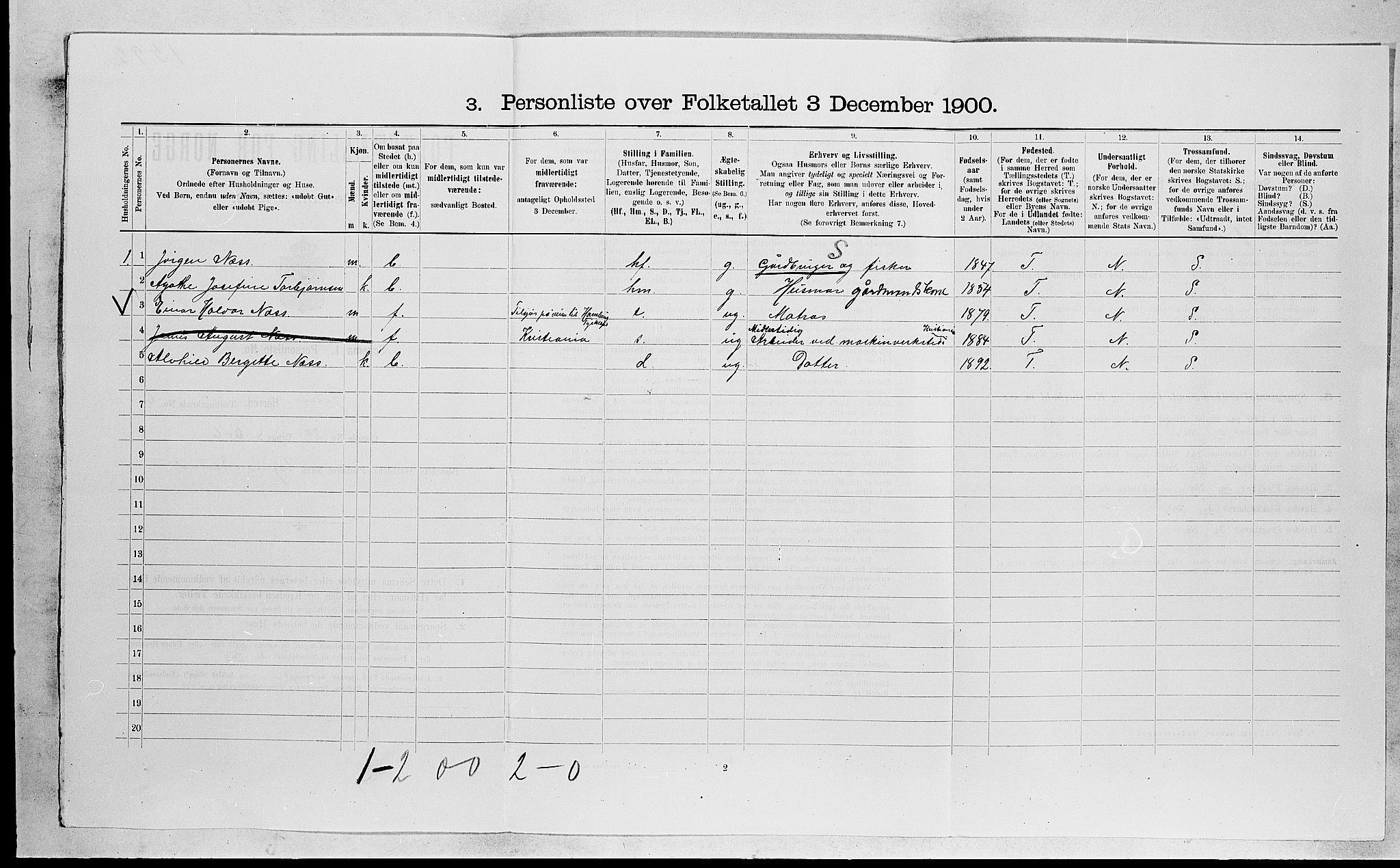 RA, 1900 census for Tjøme, 1900, p. 1050