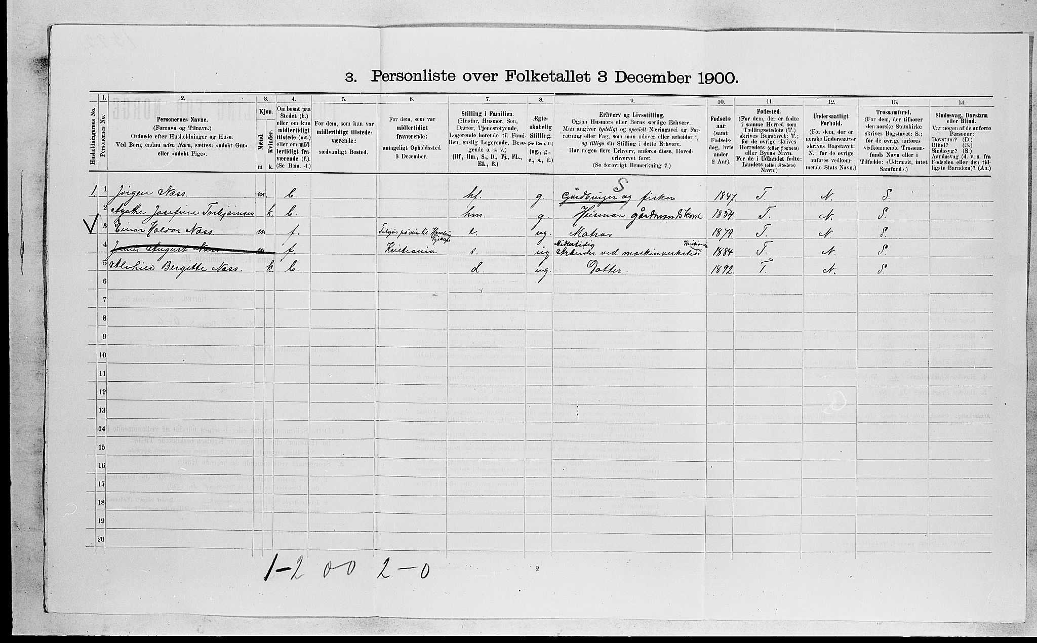 RA, 1900 census for Tjøme, 1900, p. 1050