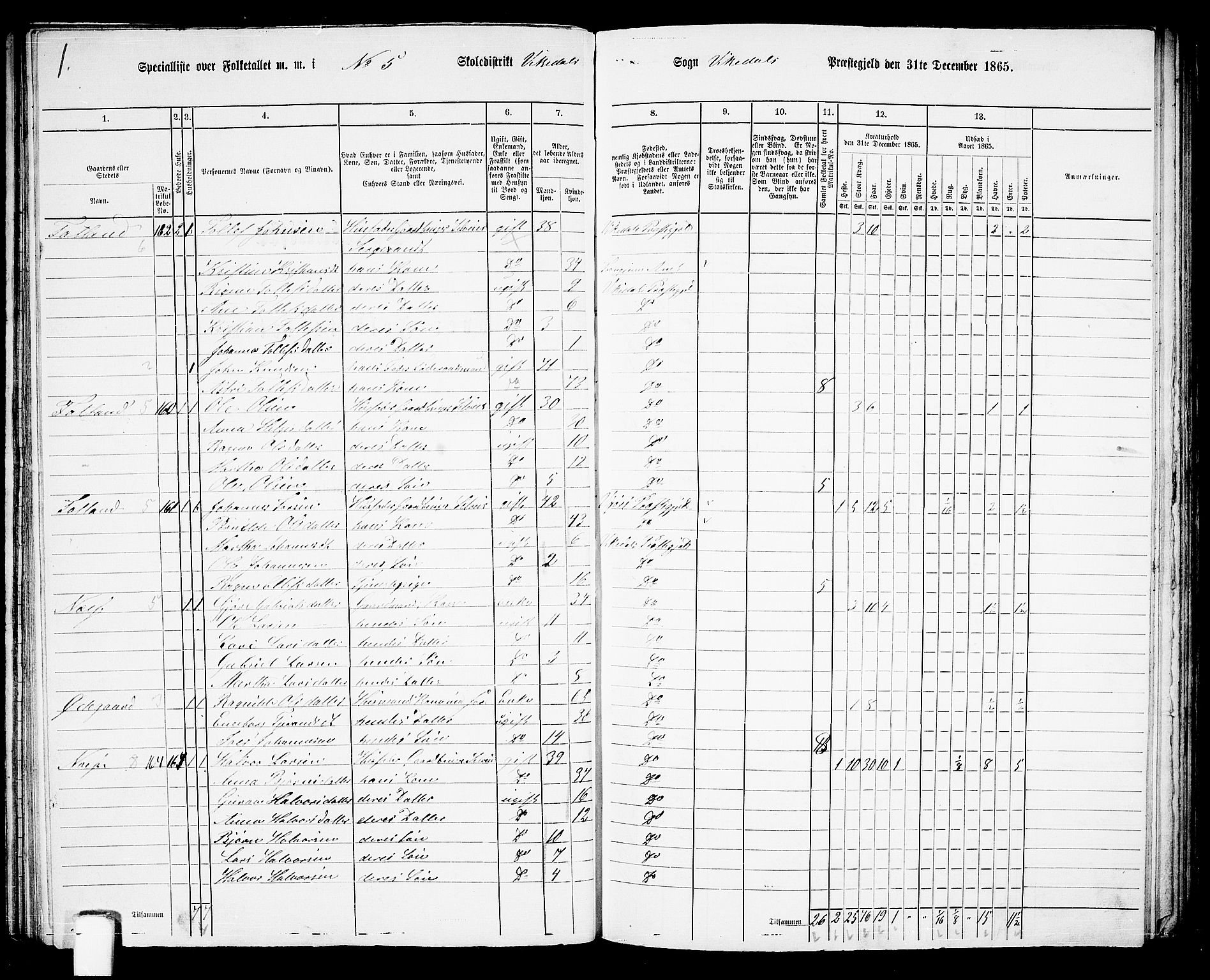 RA, 1865 census for Vikedal, 1865, p. 50