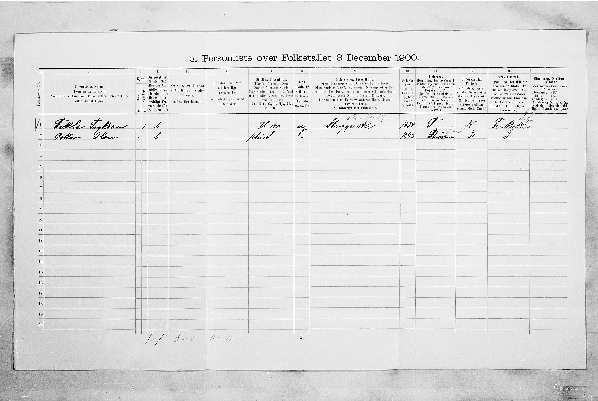 RA, 1900 census for Svelvik, 1900, p. 824