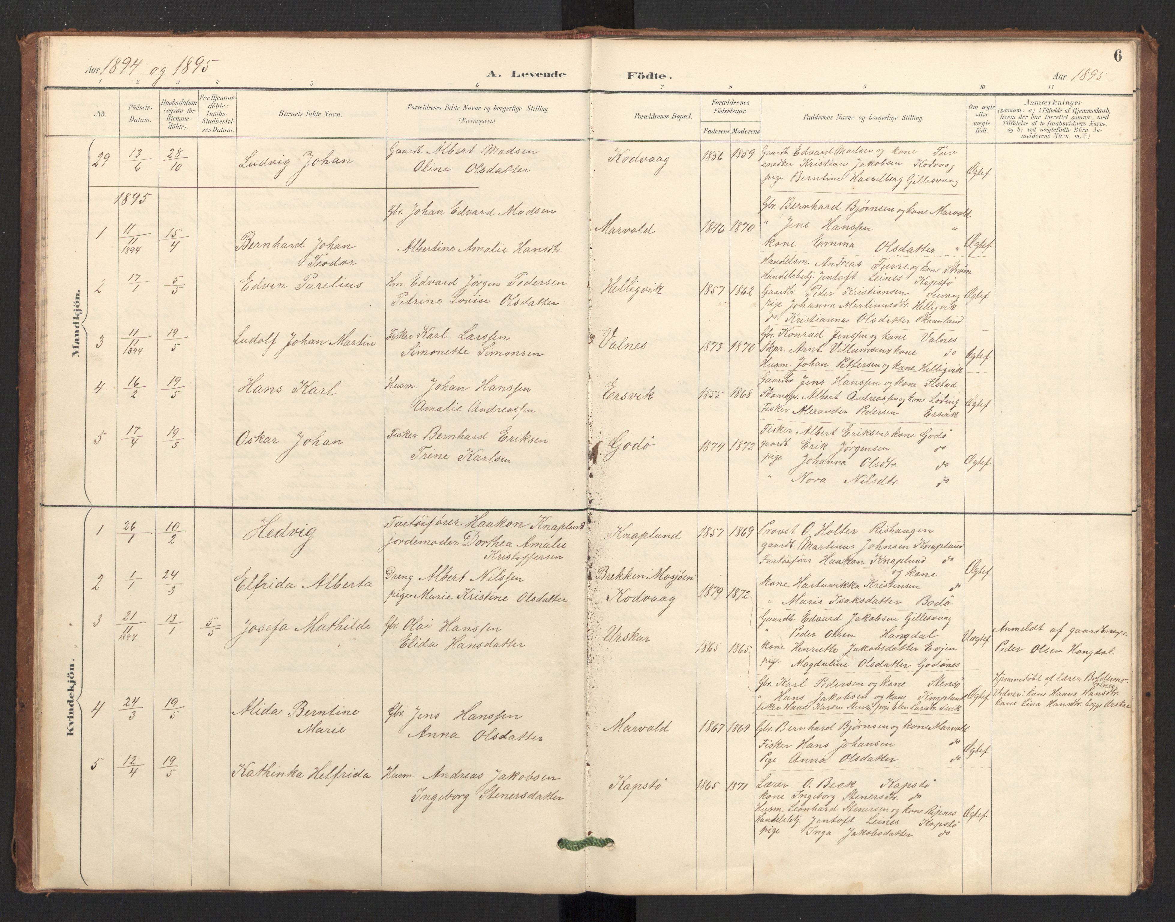 Ministerialprotokoller, klokkerbøker og fødselsregistre - Nordland, SAT/A-1459/804/L0087: Parish register (official) no. 804A08, 1894-1907, p. 6
